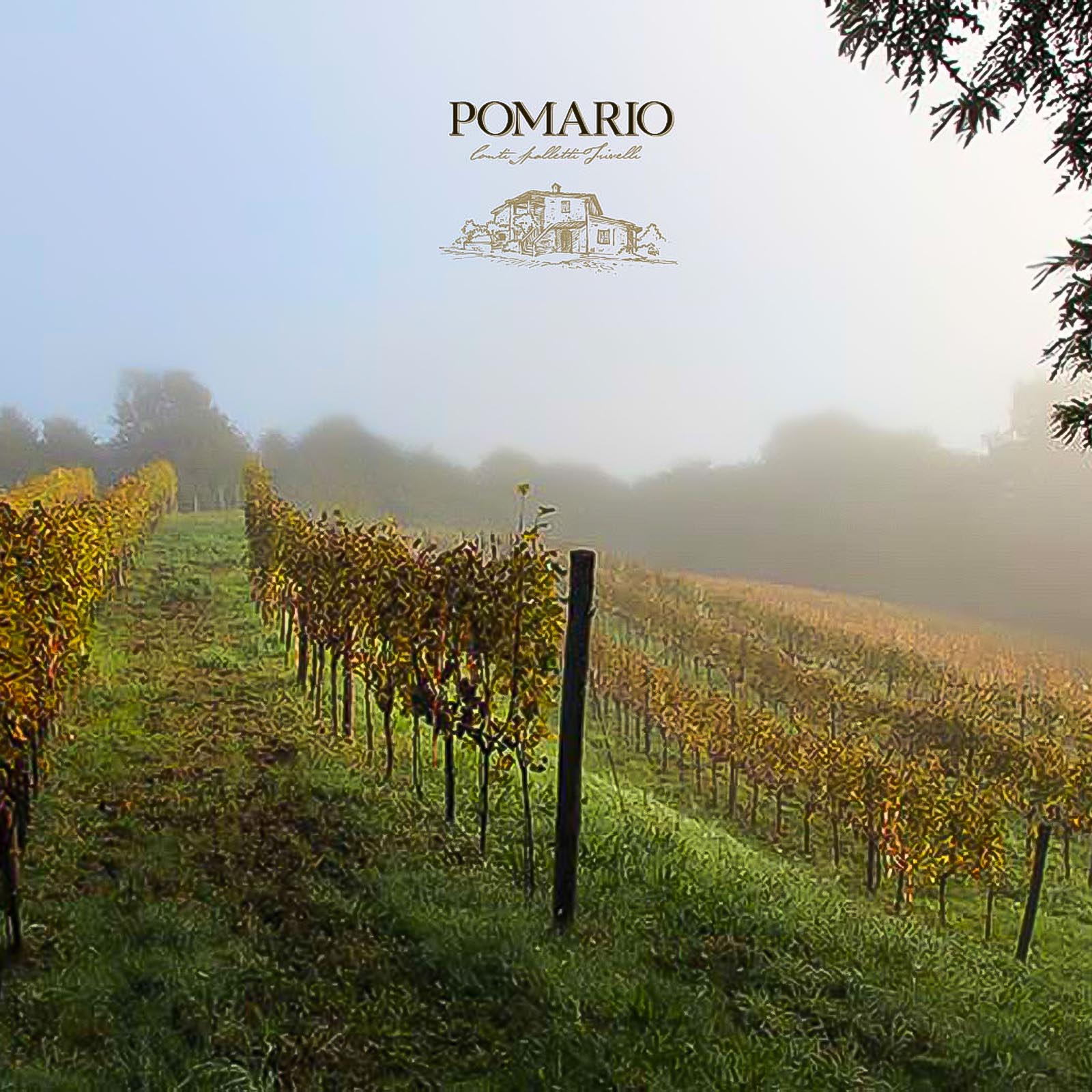 Umbria Rosso 2019 Sariano Bio