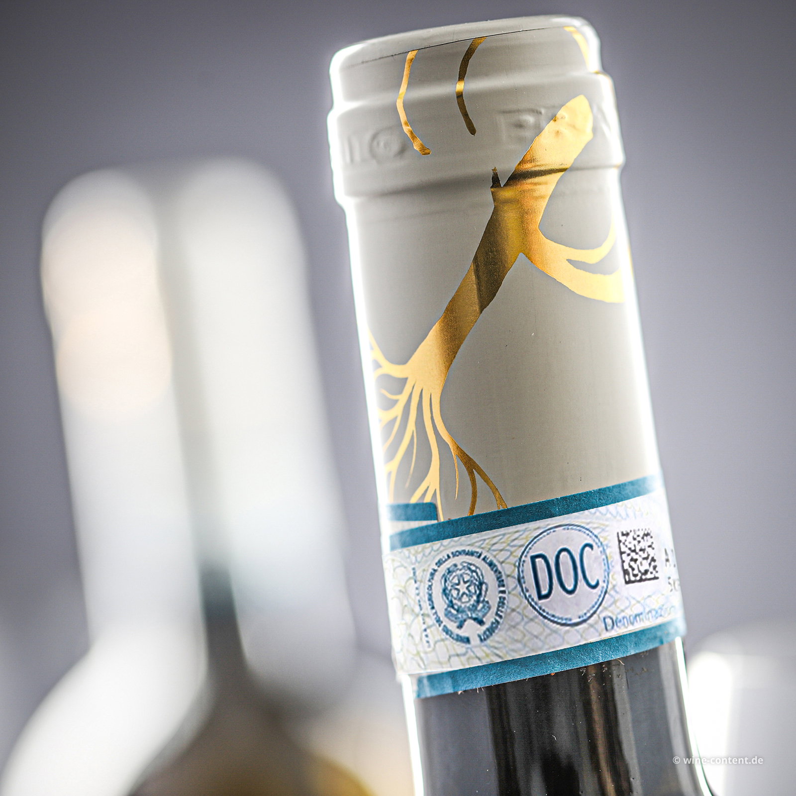 Lugana 2025 Catulliano Bio