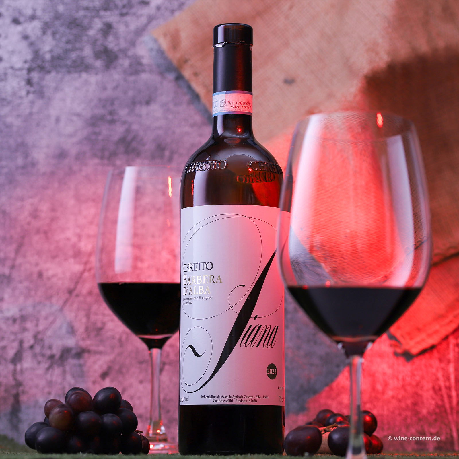 Barbera d'Alba 2023 Piana Bio