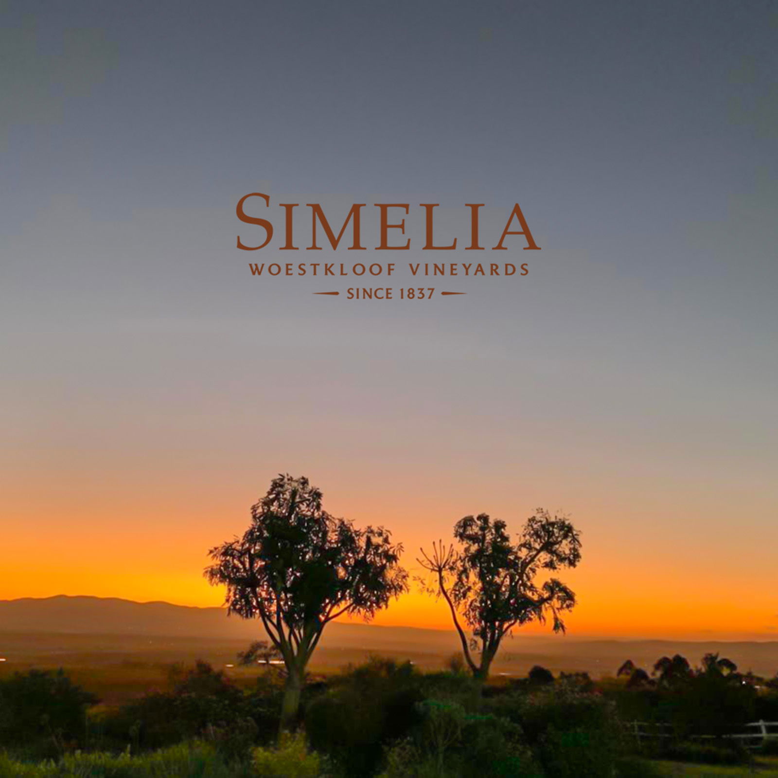 Merlot Cabernet Sauvignon 2020 Owner's Blend