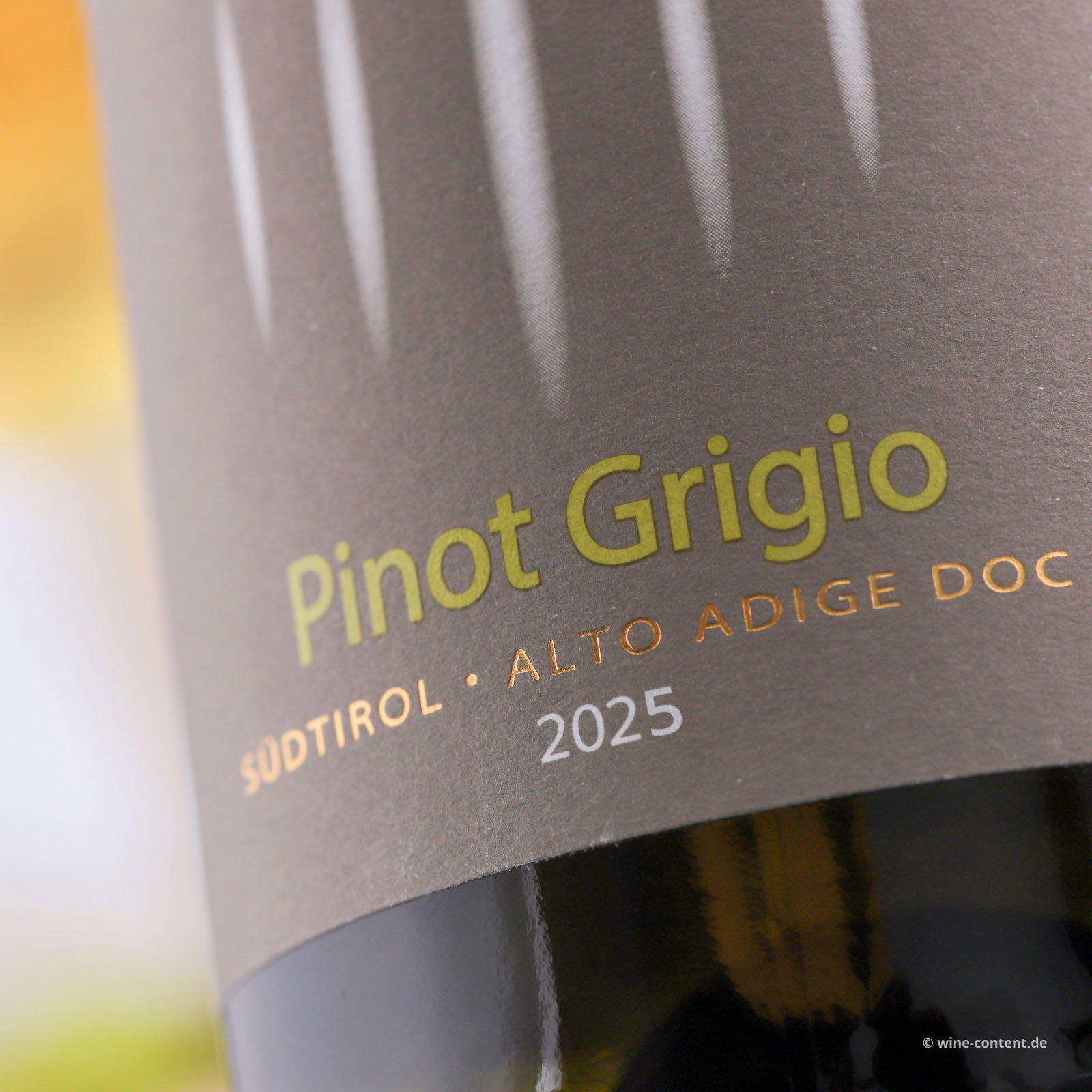 Pinot Grigio 2025 Classic