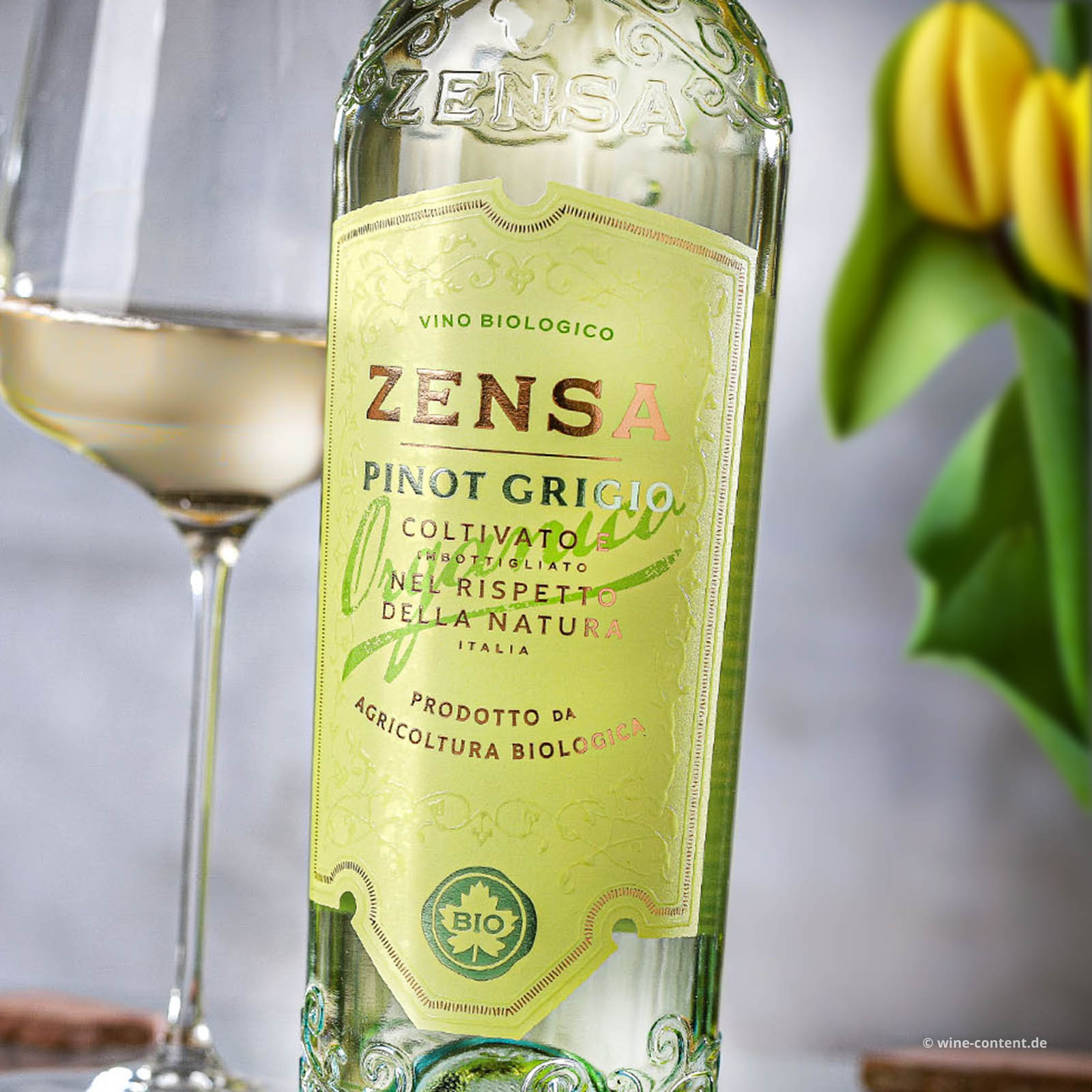 Pinot Grigio Puglia 2024 Bio