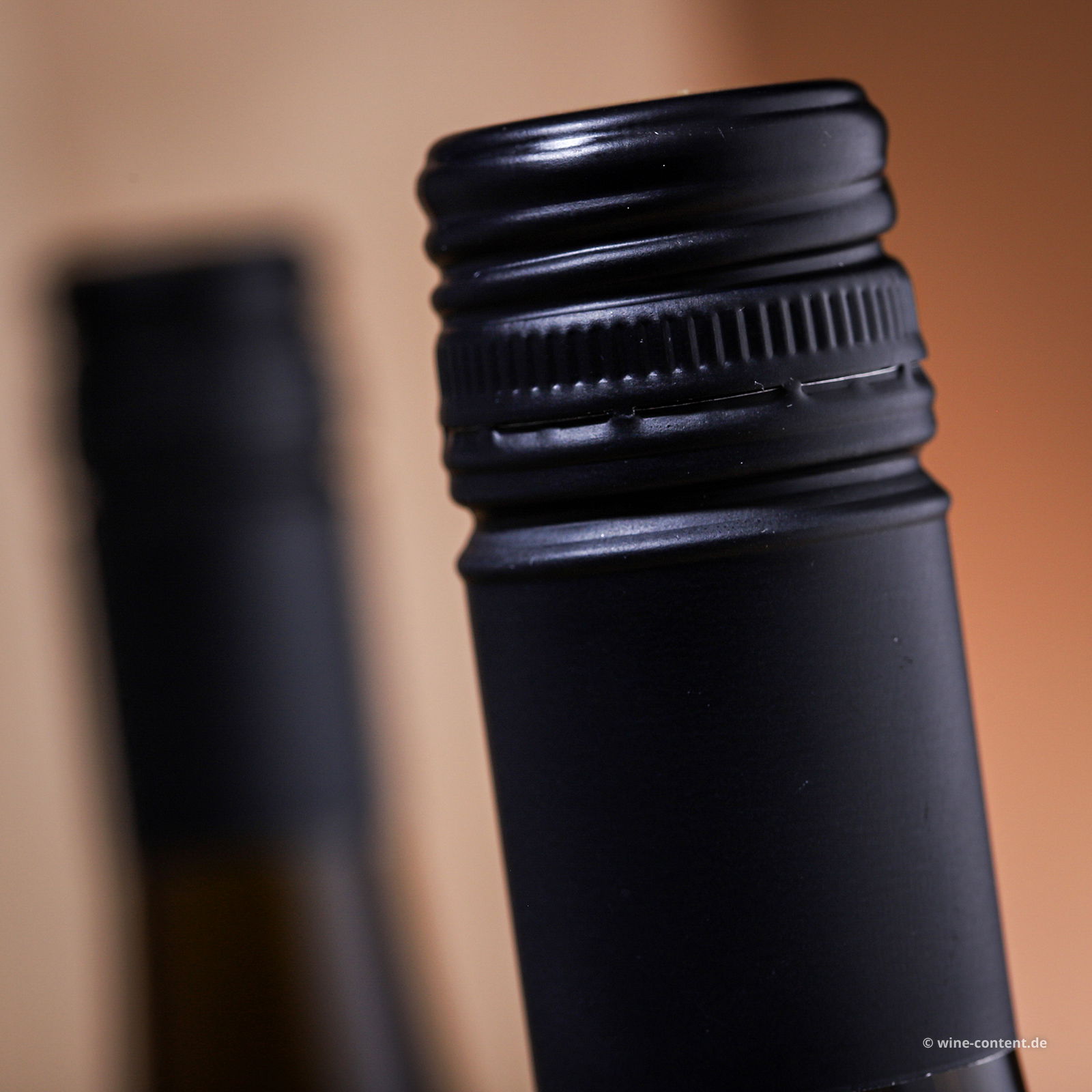 Weißer Burgunder 2024 Federblatt Bio