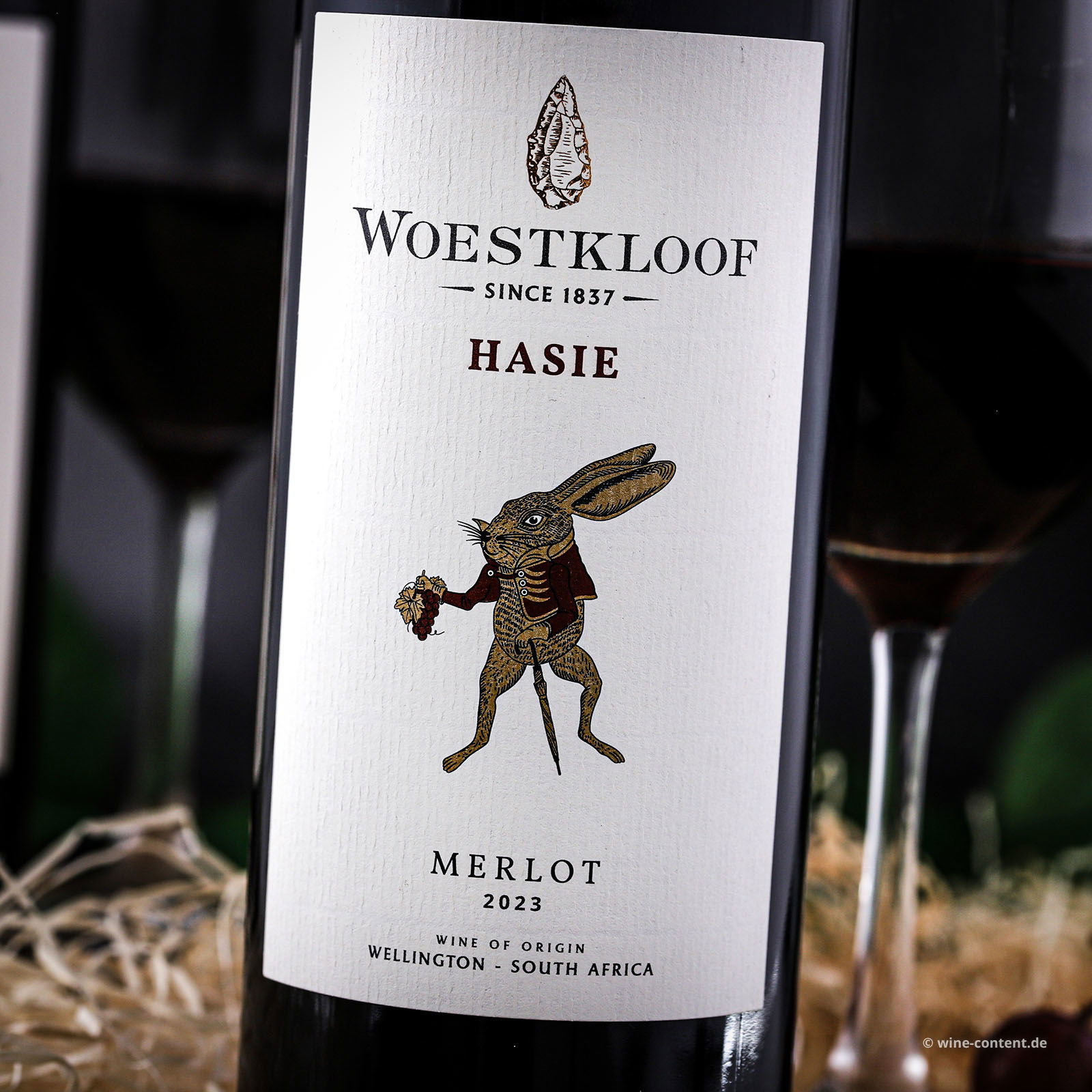 Merlot 2023 Hasie