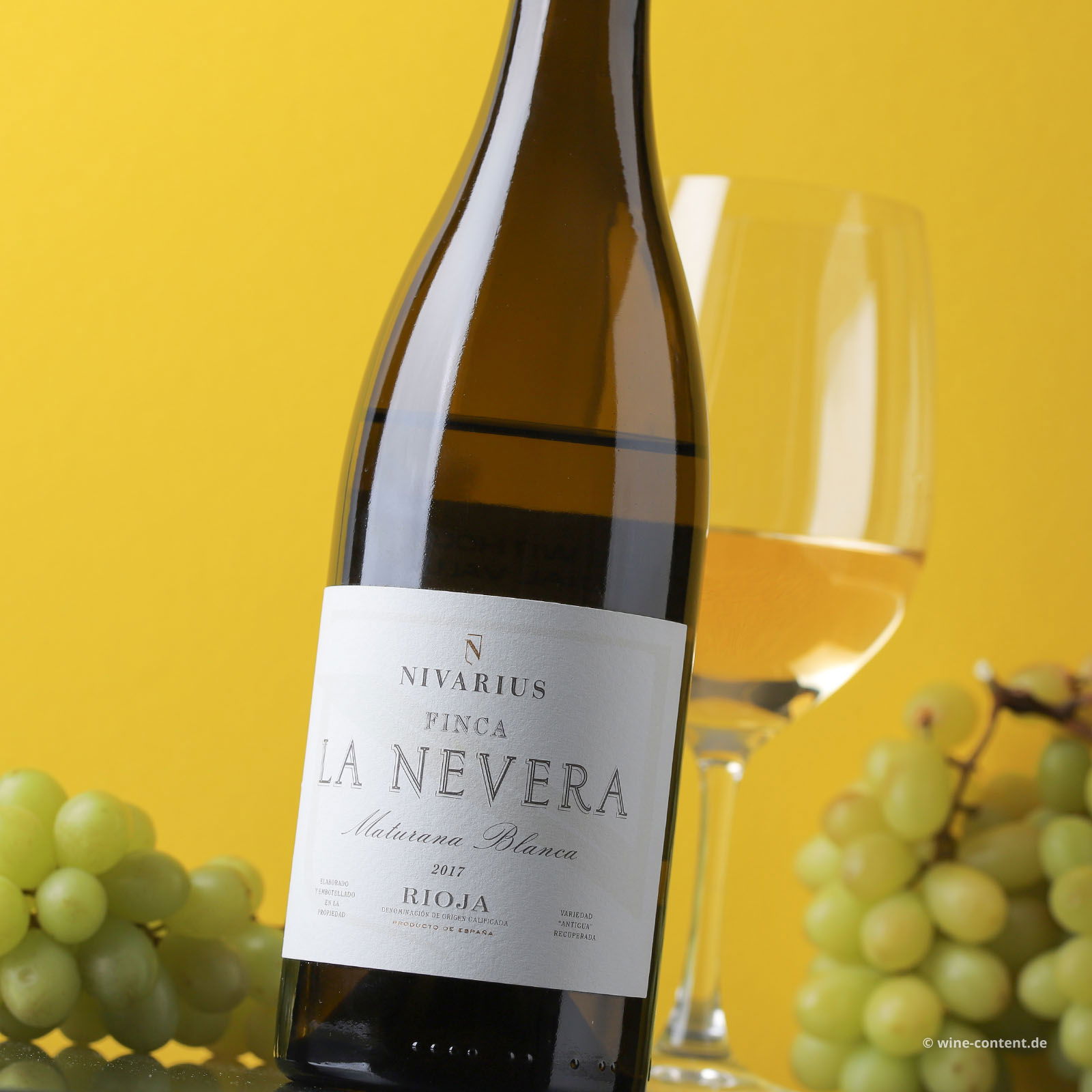 Rioja Blanco 2017 Finca La Nevera