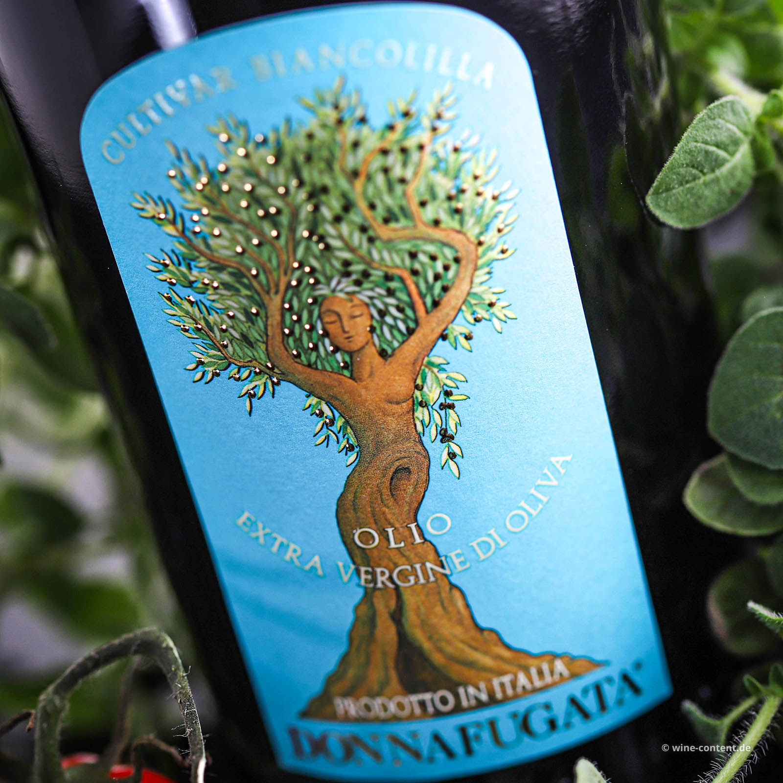 0,5 L Olivenöl Extra Vergine 2025 Biancolilla