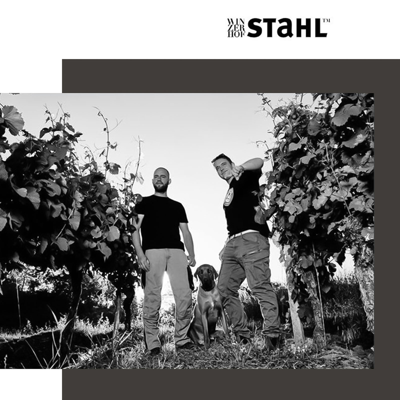 Chardonnay Sonnenstuhl 2023