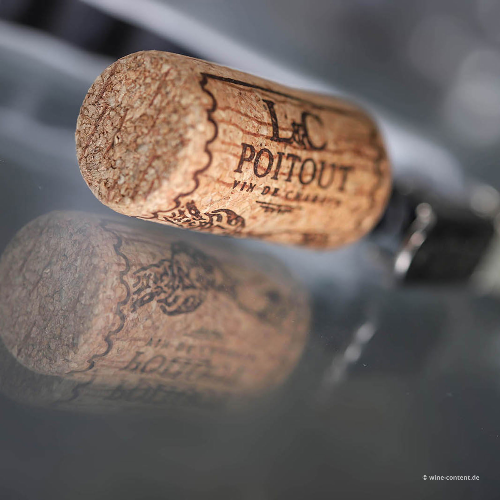 Chablis 2023 Bienommée