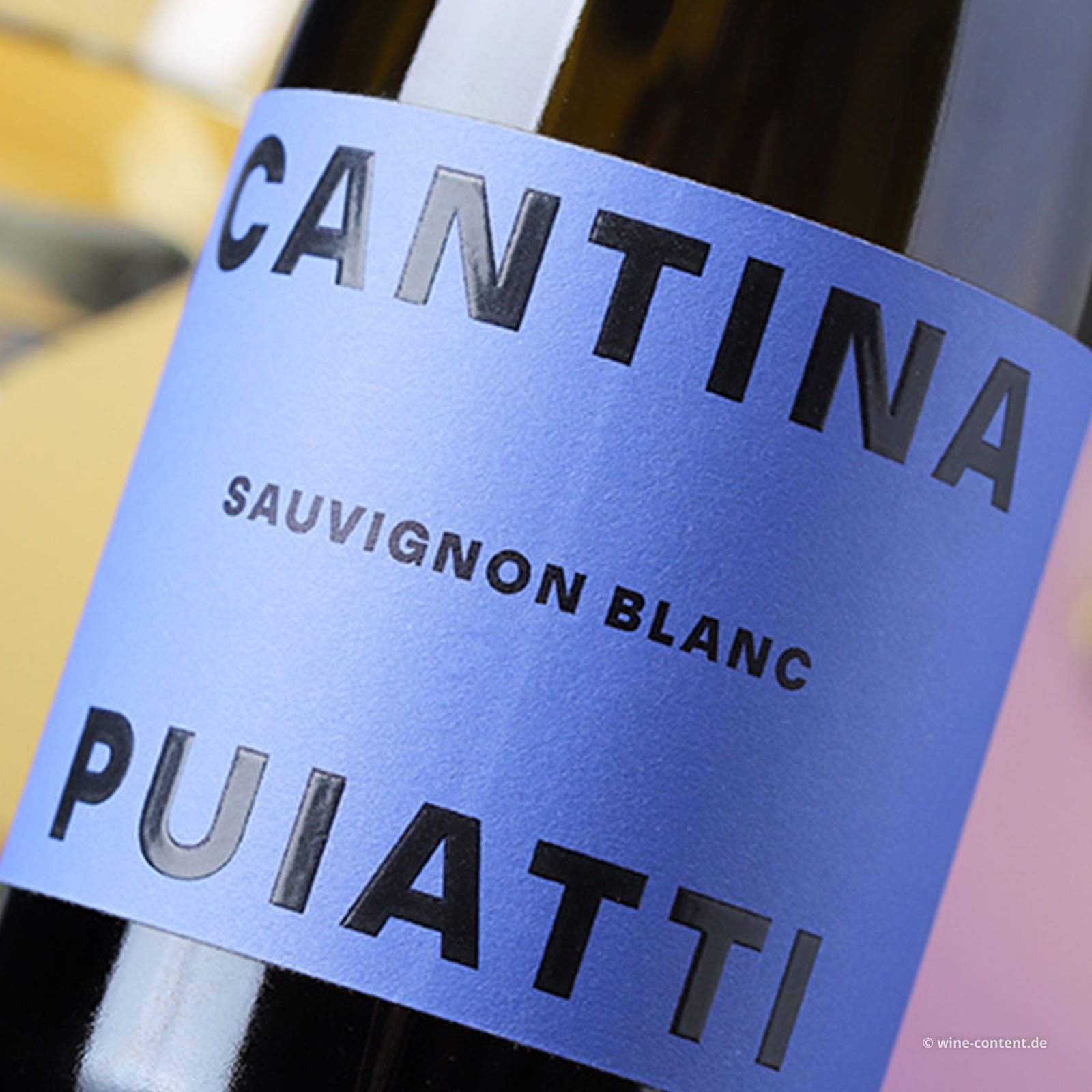 Sauvignon Blanc 2024