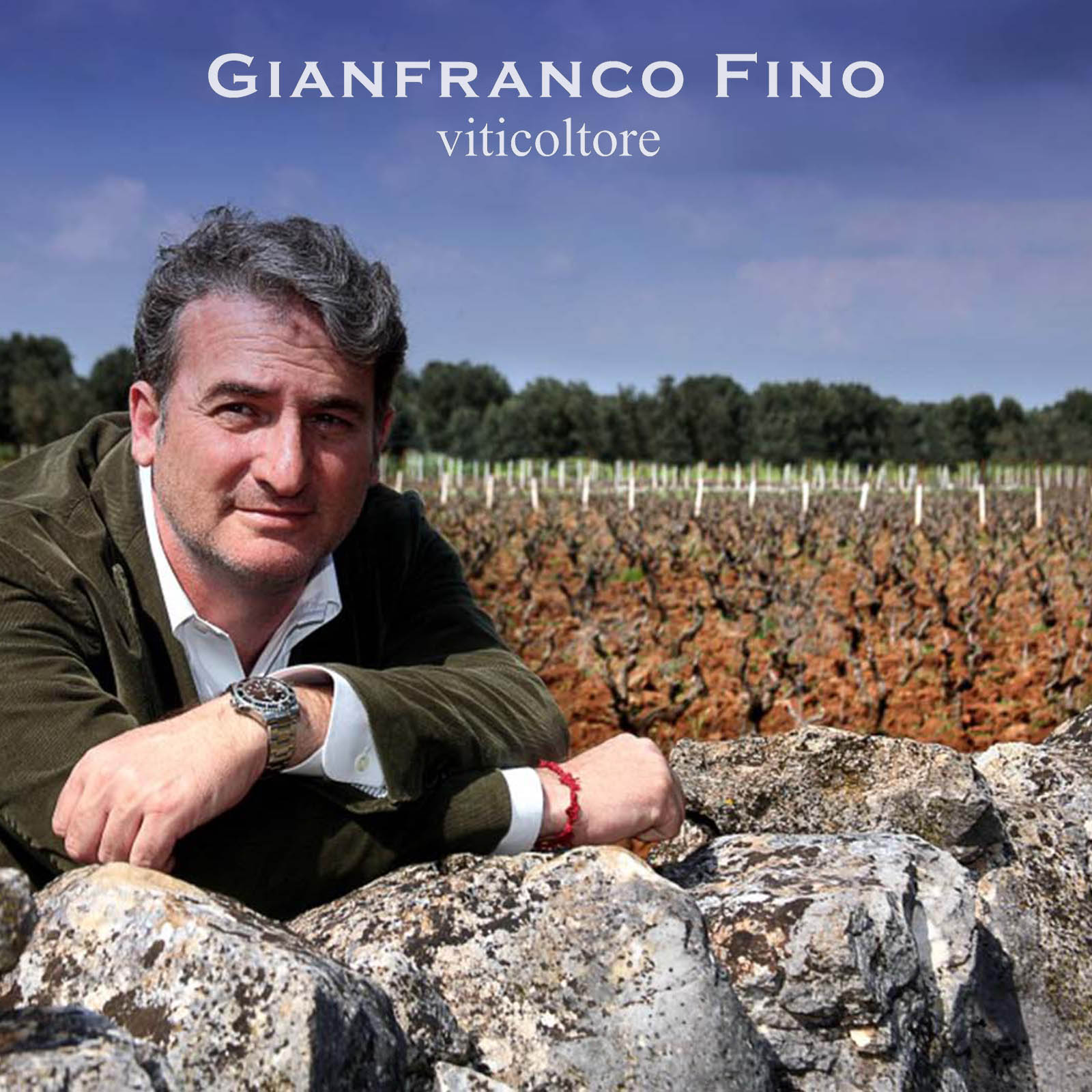 3er-Paket Primitivo Salento 2022 ES Magnum