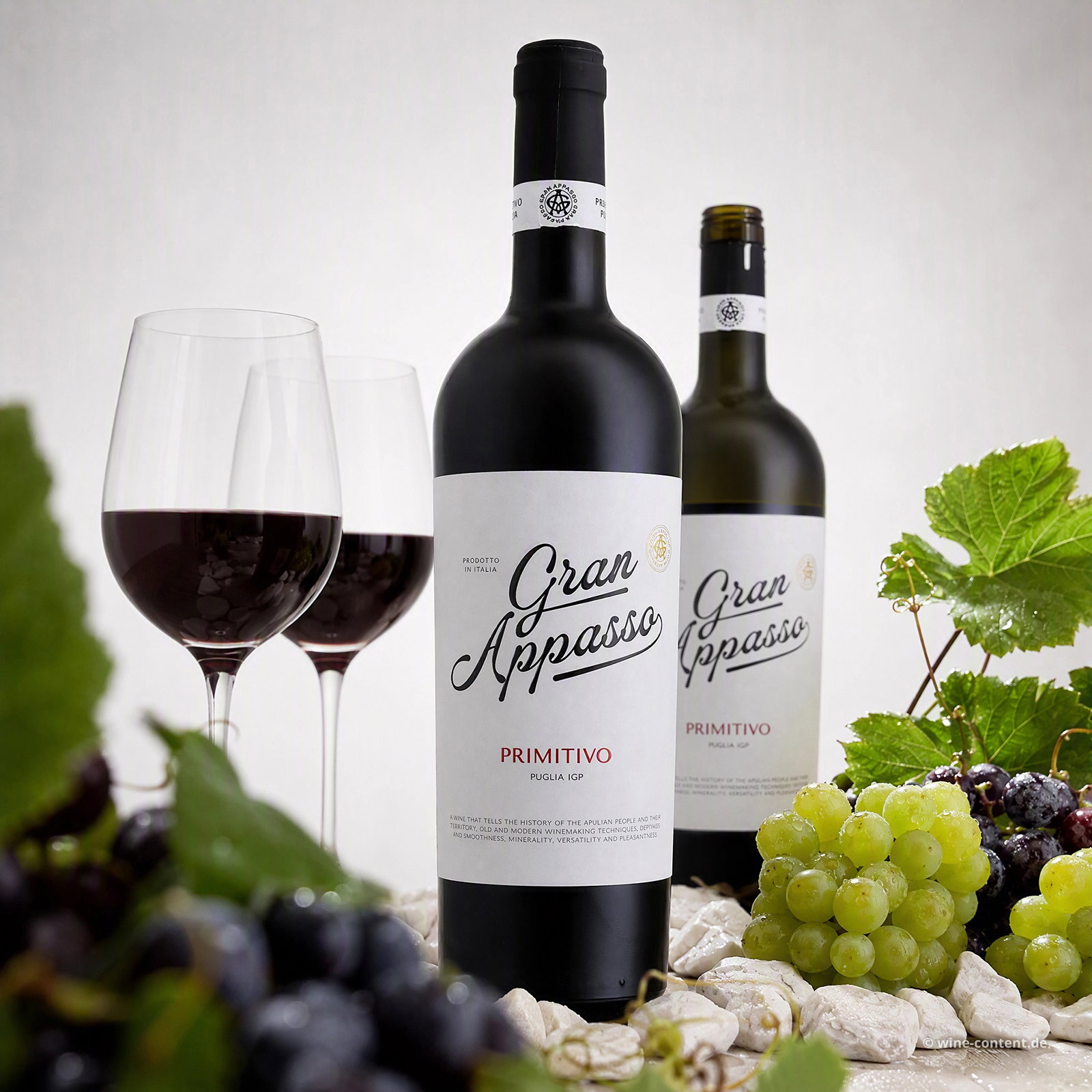 Primitivo 2025 Gran Appasso