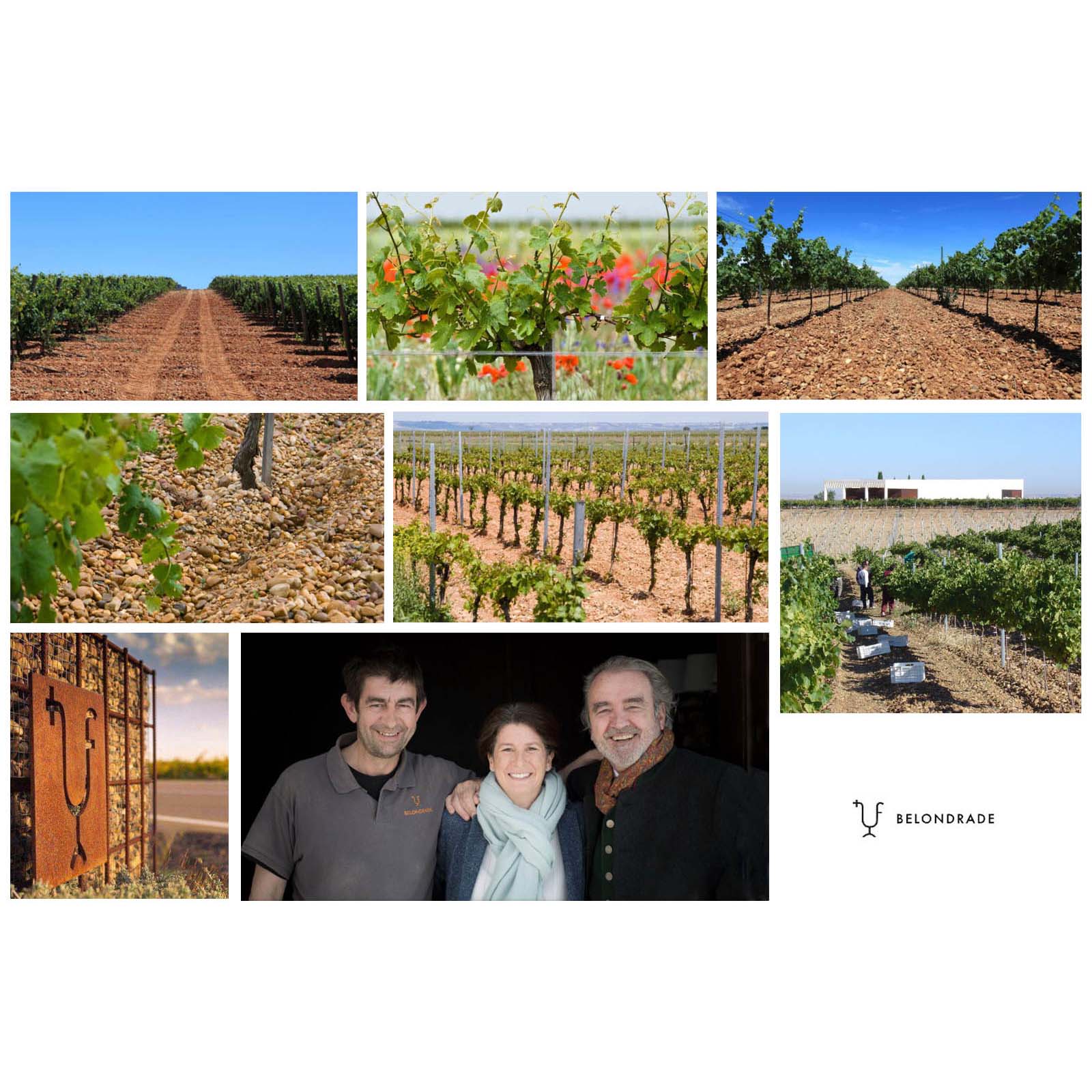 Verdejo 2022 Belondrade y Lurton Bio