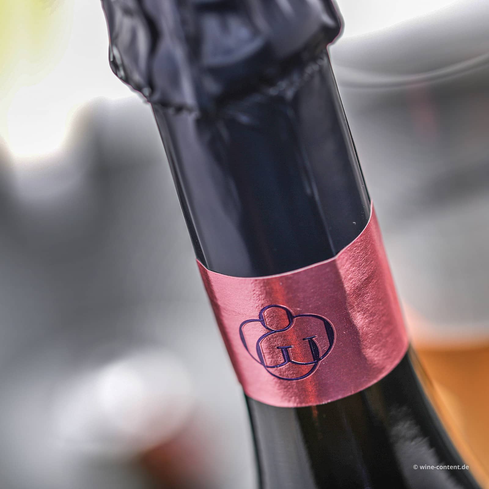 Champagner Rosé de Saignée 2018 Désiré Gratiot Extra Brut