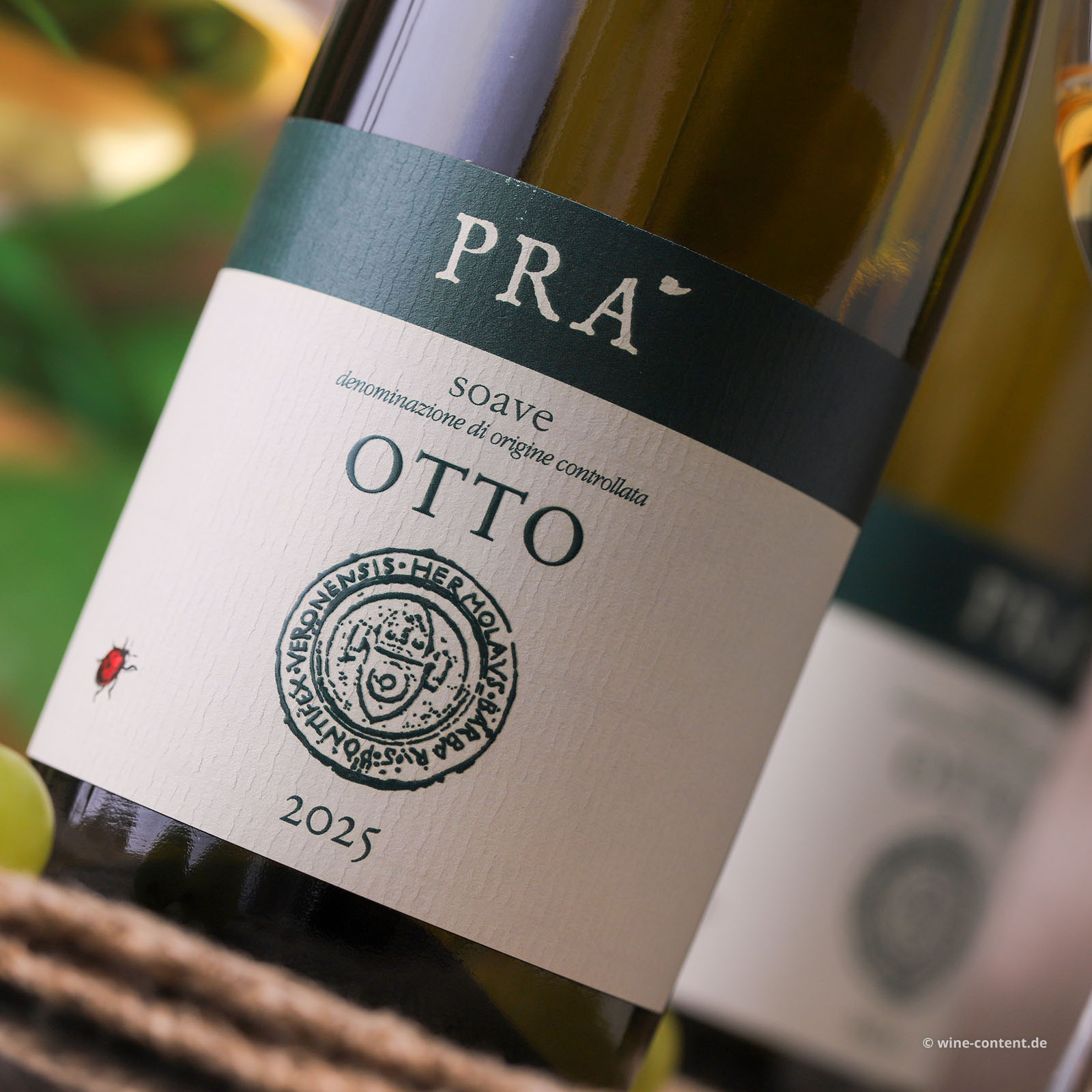 Soave 2025 Otto Bio