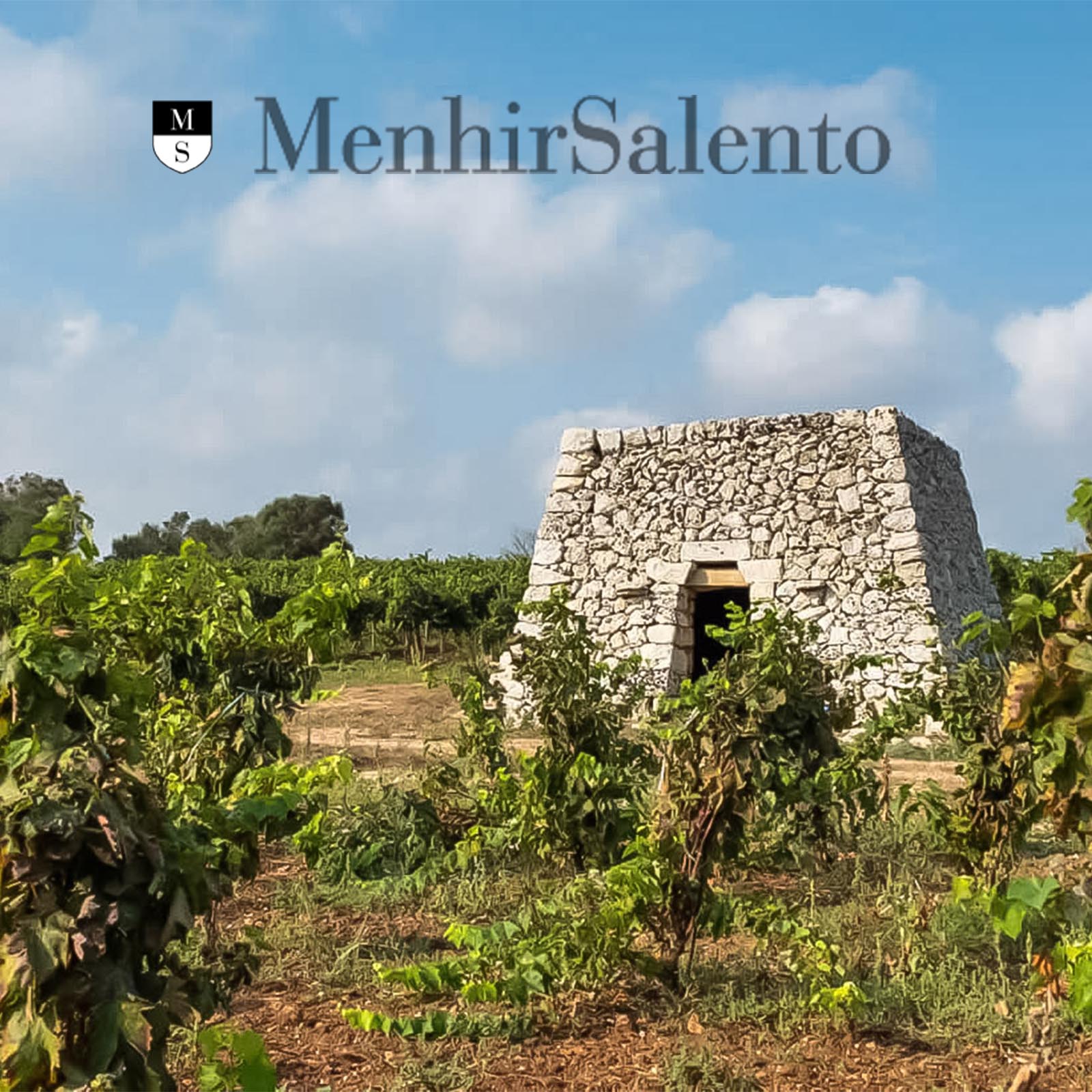 Negroamaro Terra d'Otranto Riserva 2021 Filo