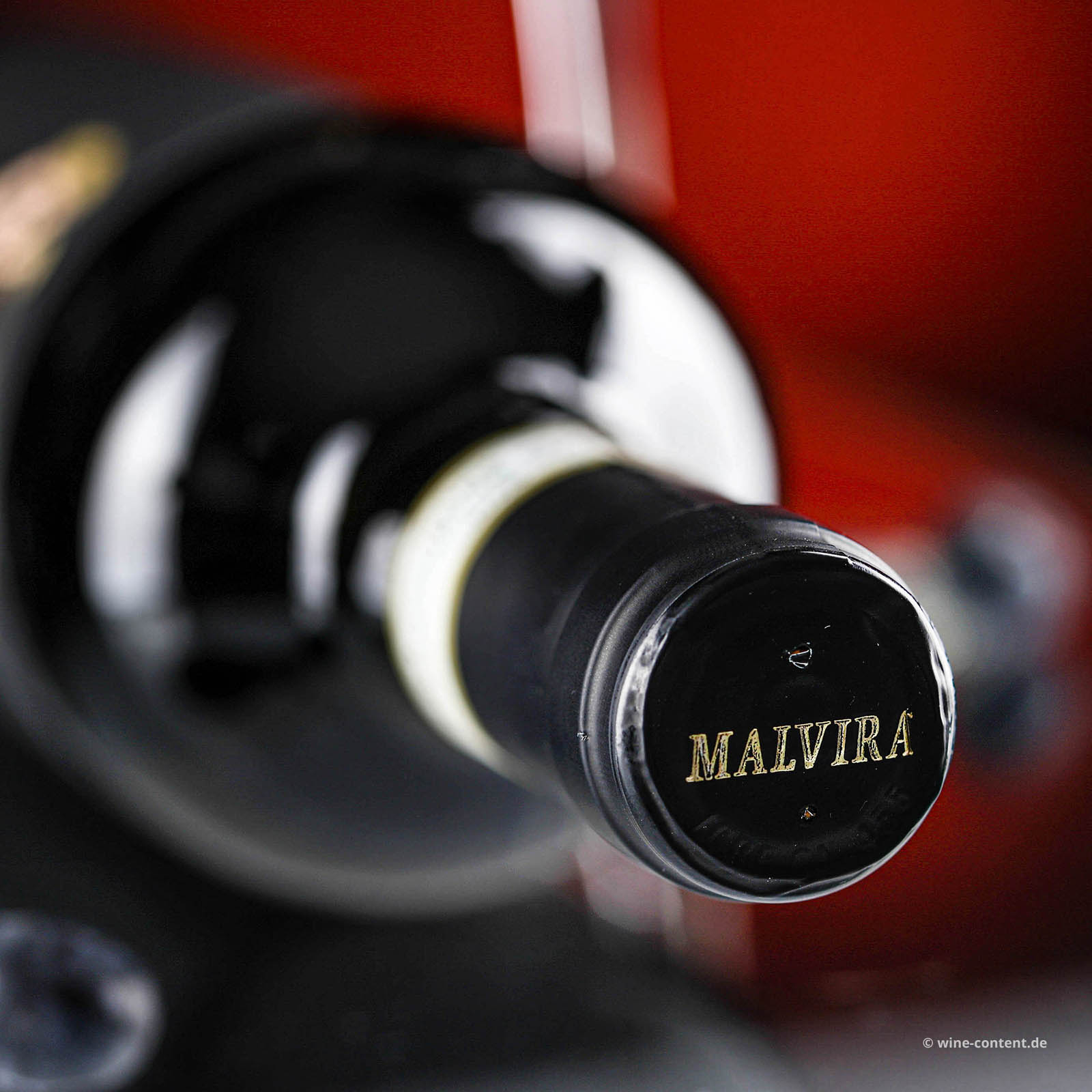 Roero Riserva 2019 Renesio Bio
