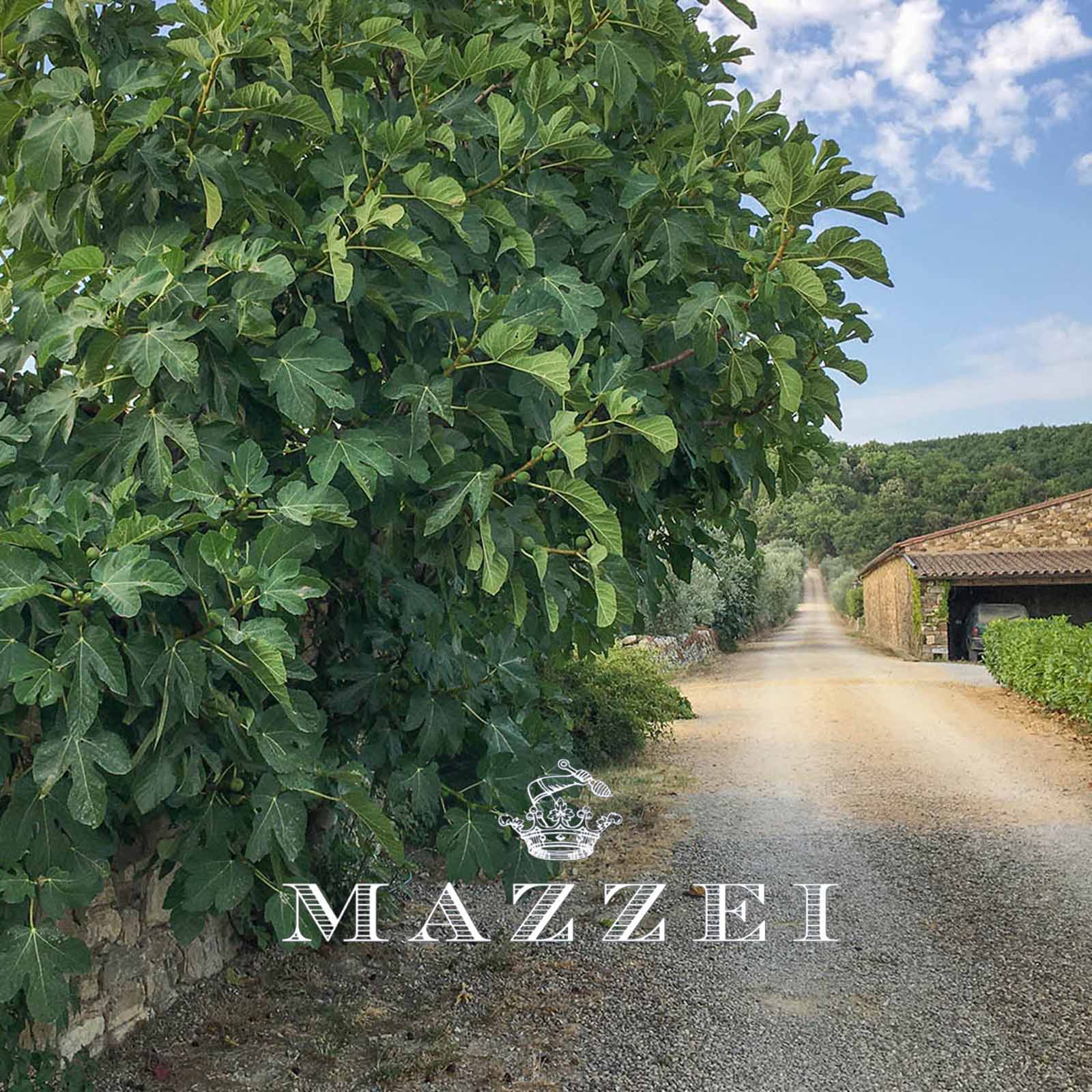 0,5 L Olivenöl Extra Vergine Chianti Classico 2025 Fonterutoli