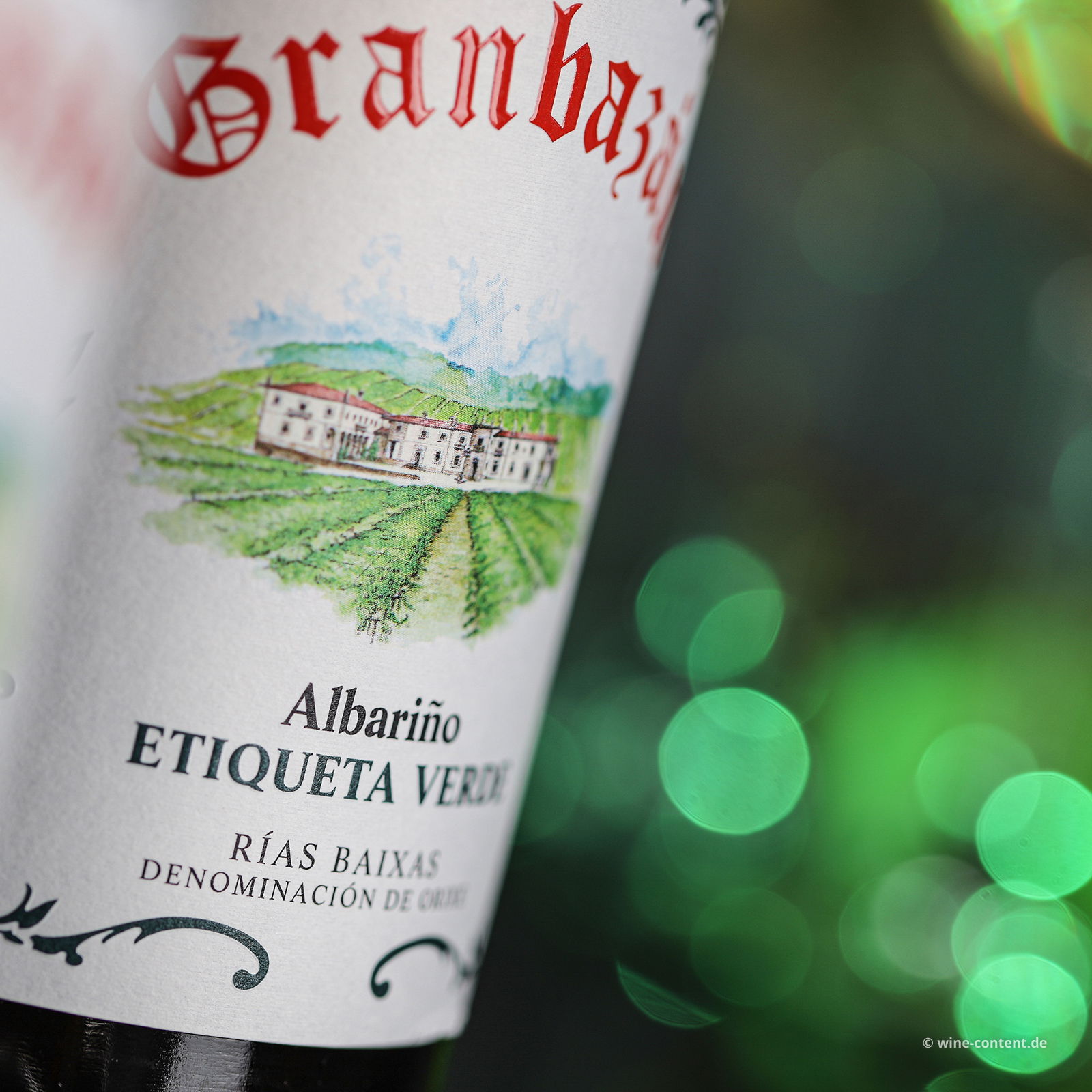 Albariño 2024 Etiqueta Verde