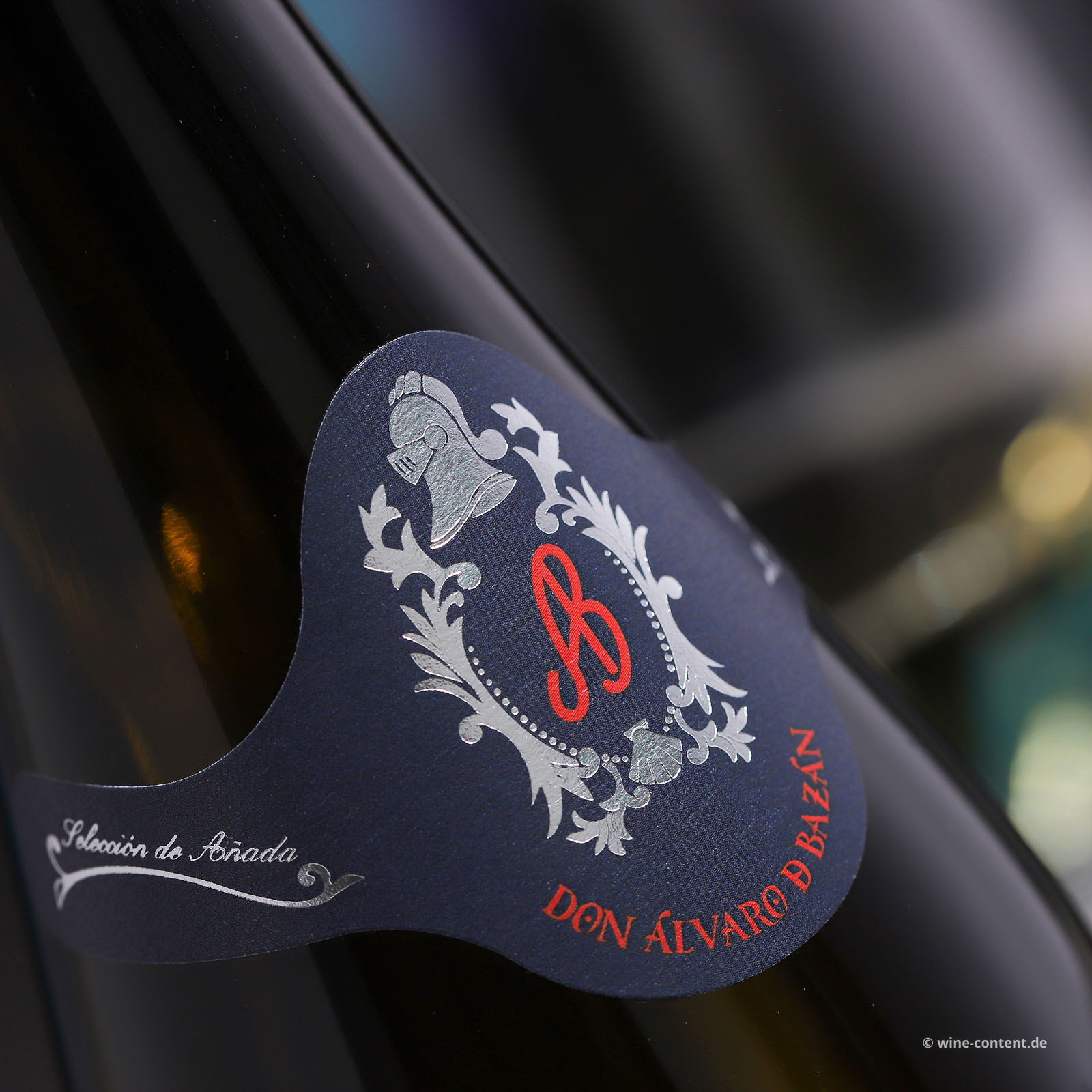 Albariño 2020 Don Álvaro de Bazán