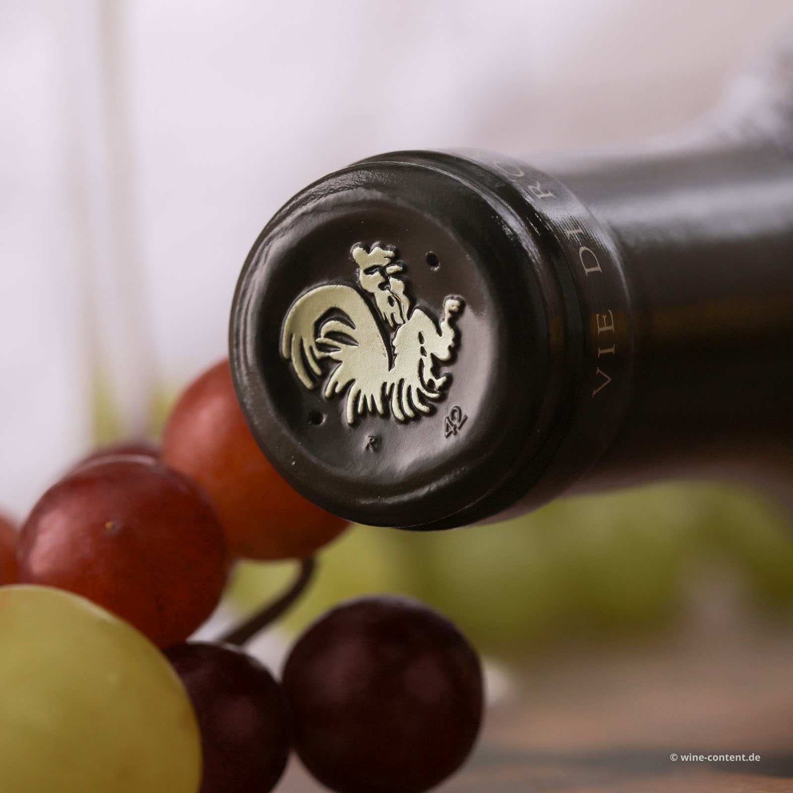 Sauvignon Blanc 2024 Piere