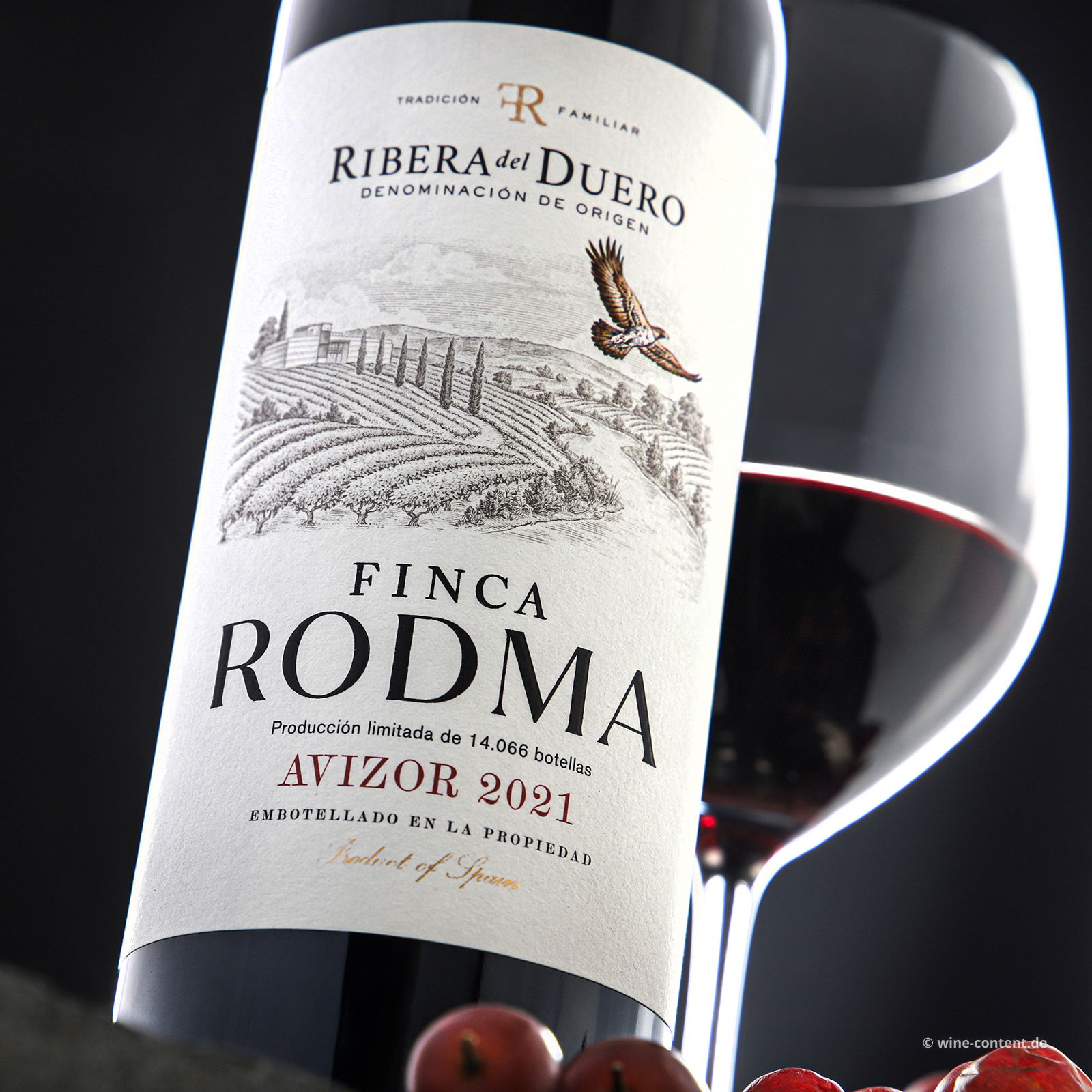 Tempranillo 2021 Avizor