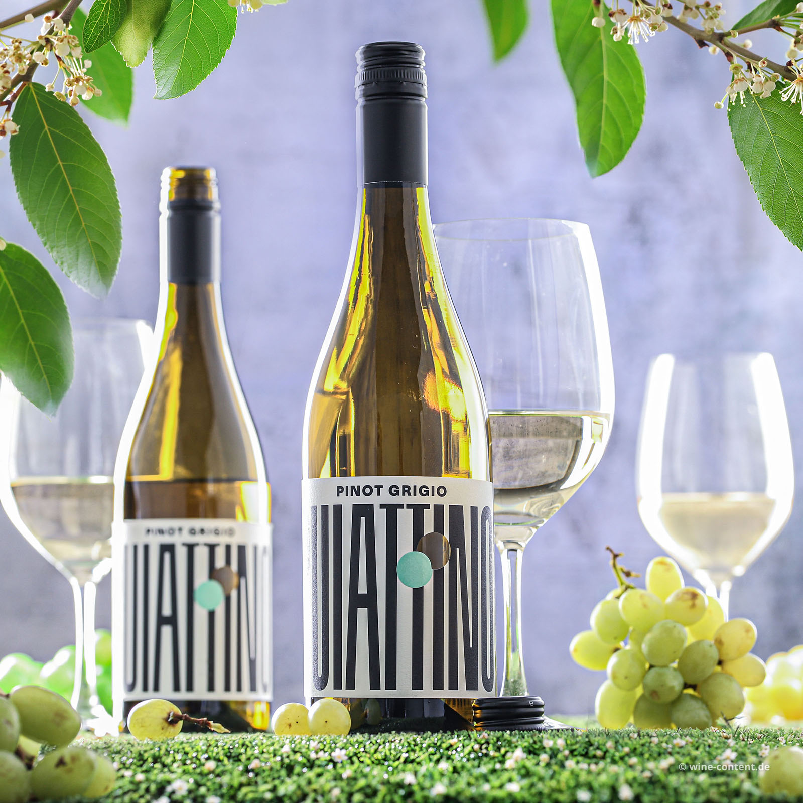 Pinot Grigio 2025 Puiattino