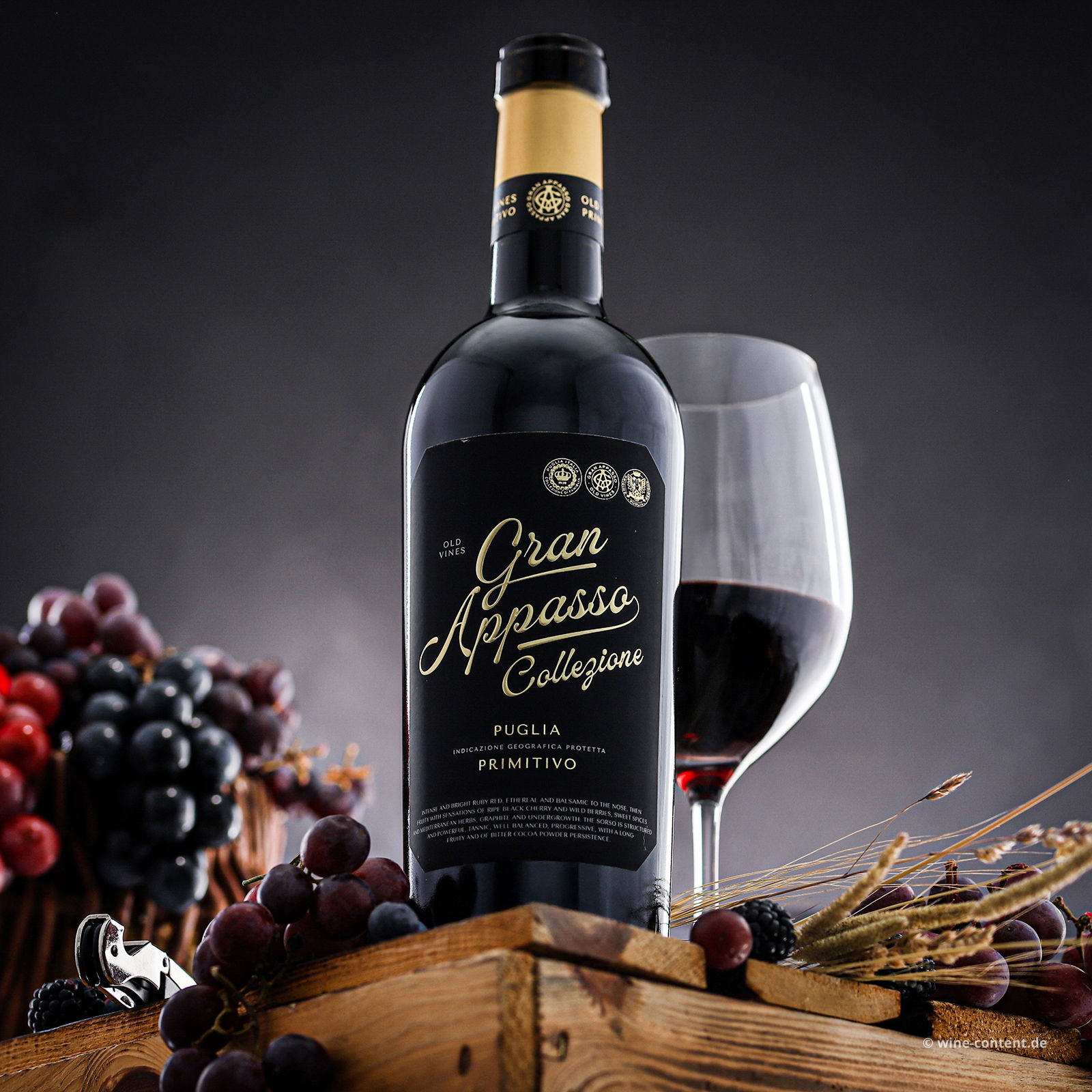 Primitivo 2023 Gran Appasso Collezione