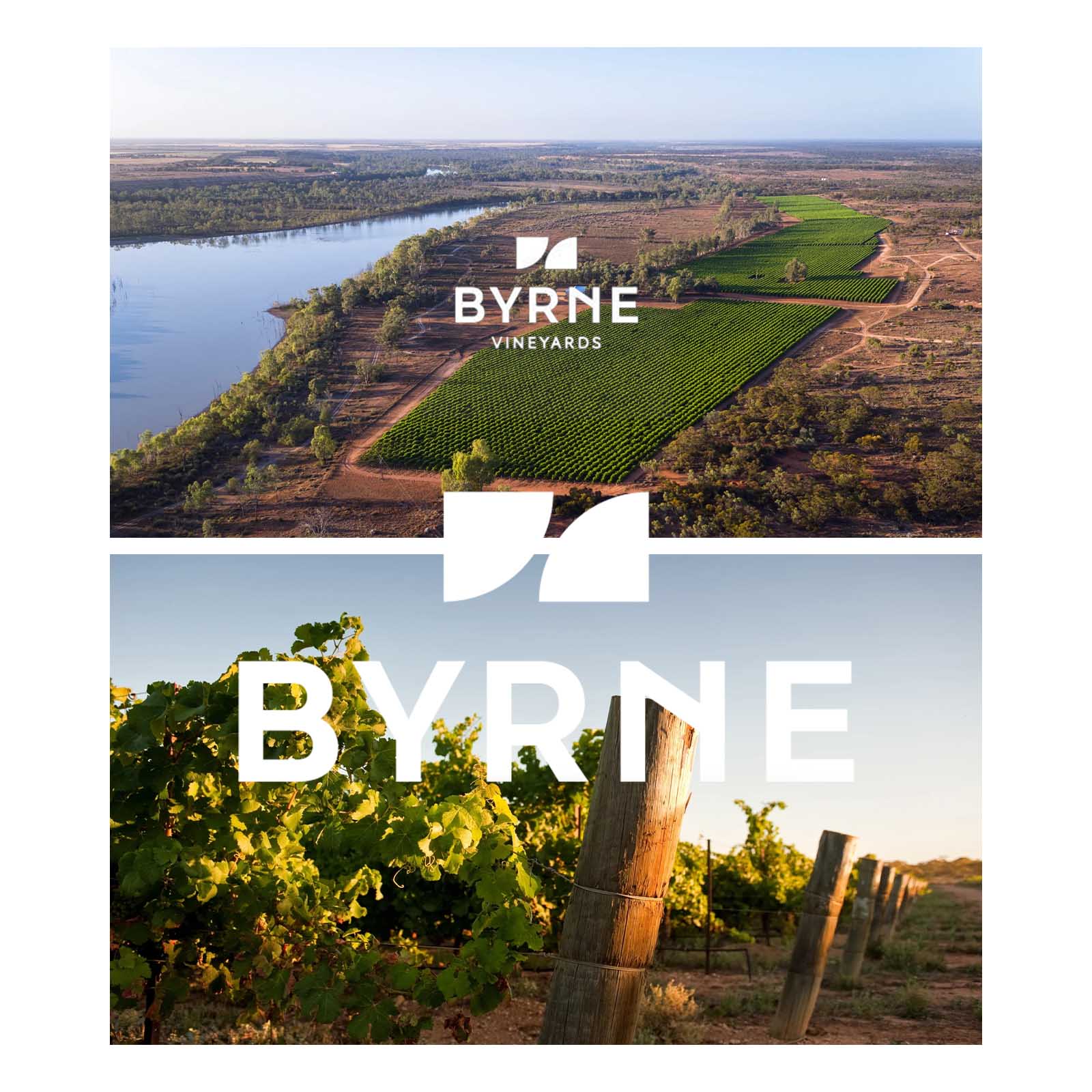 Vine-Dried Shiraz 2021 AppassAussi One