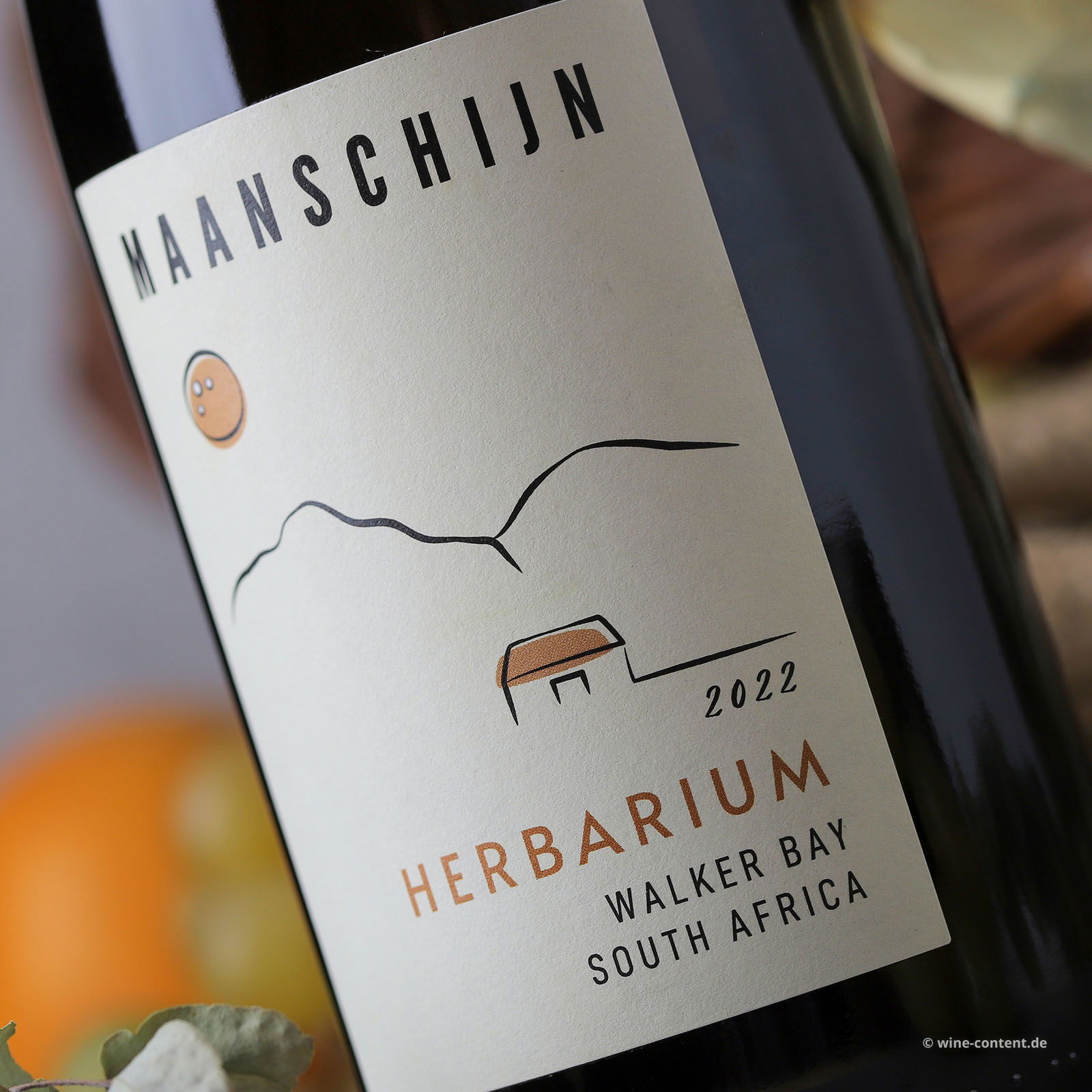 Cape White 2022 Herbarium