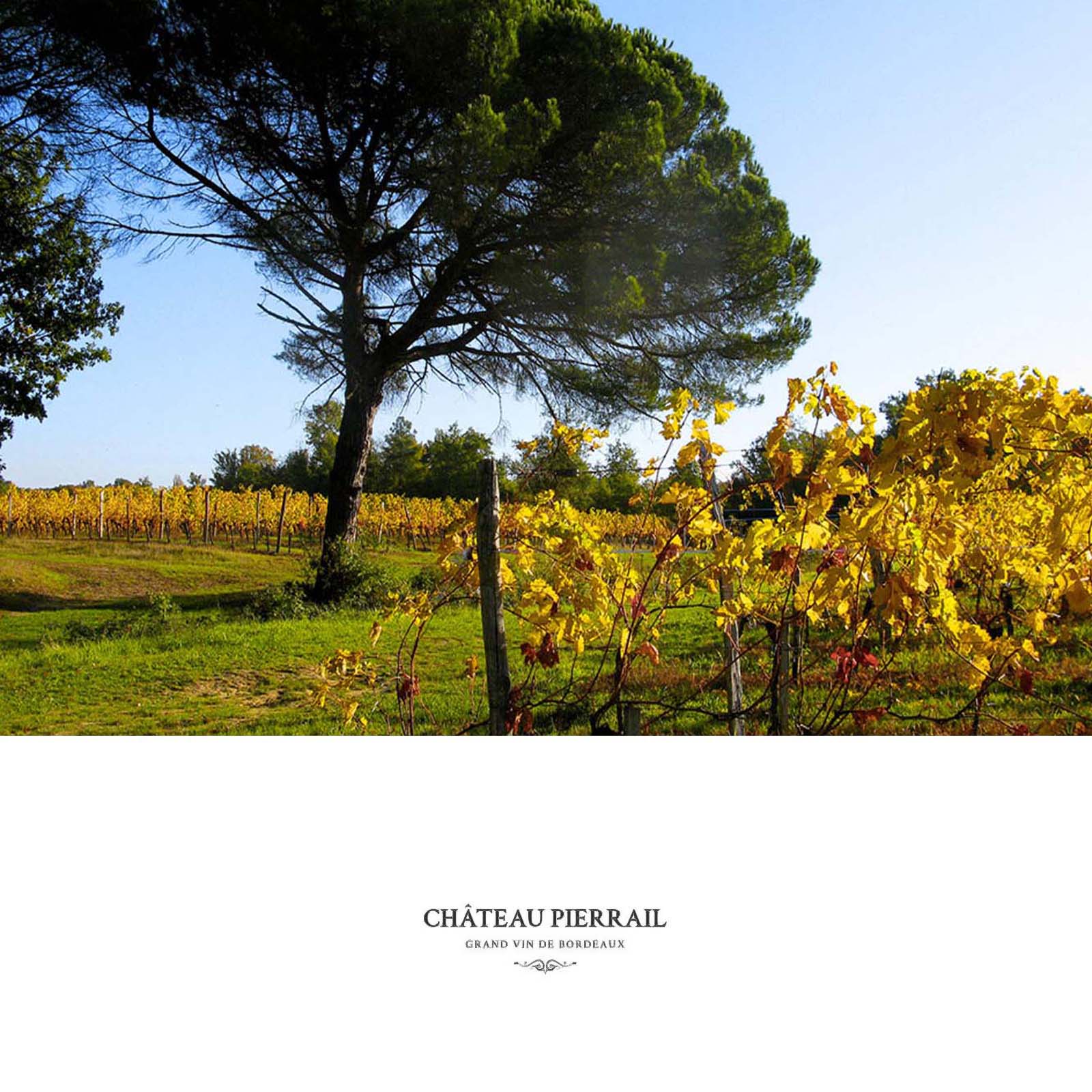 Bordeaux Supérieur 2020 Réserve du Château