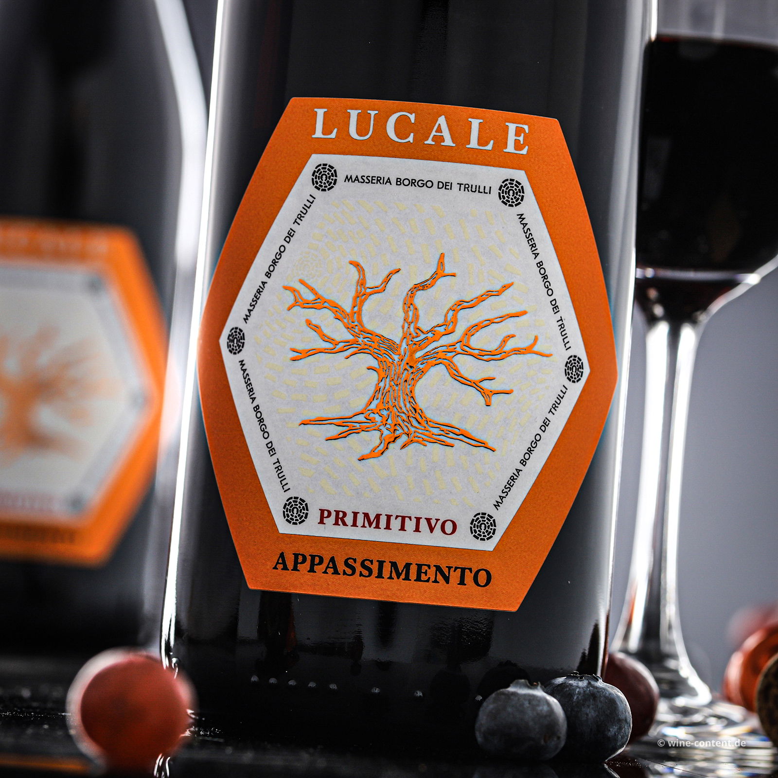 Primitivo Appassimento 2023 Lucale