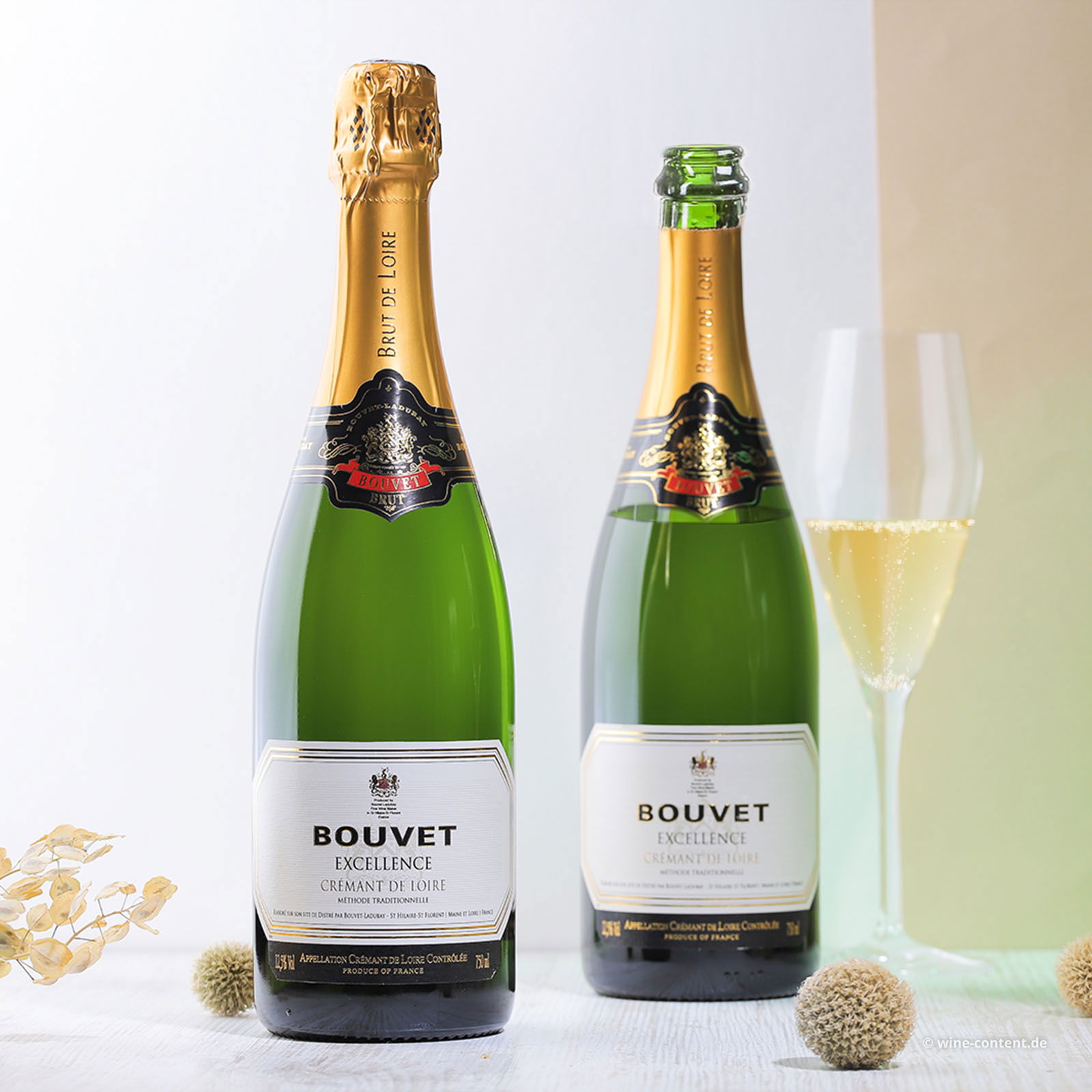 Crémant de Loire Excellence Brut