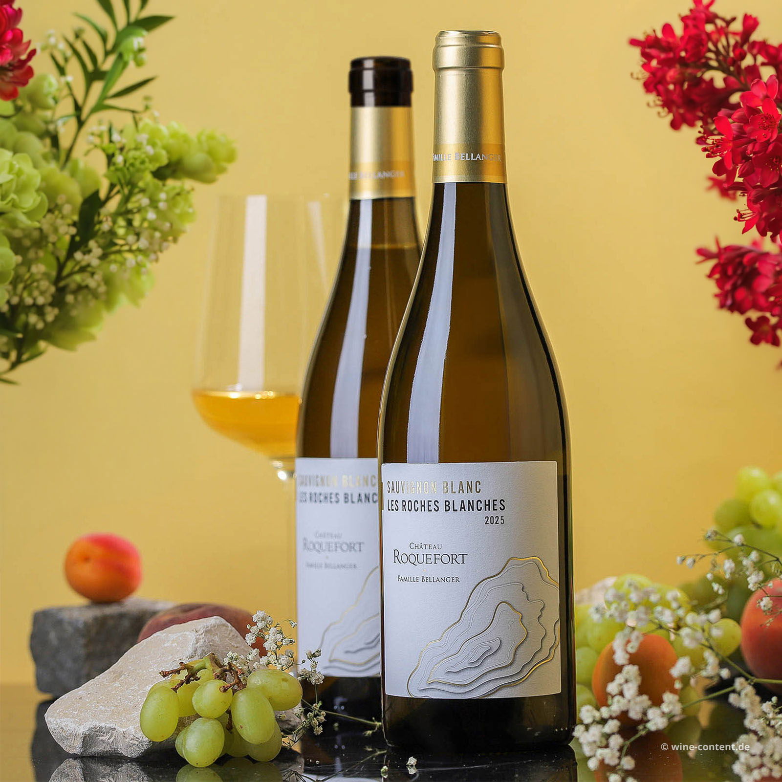 Sauvignon Blanc 2025 Les Roches Blanches Bio