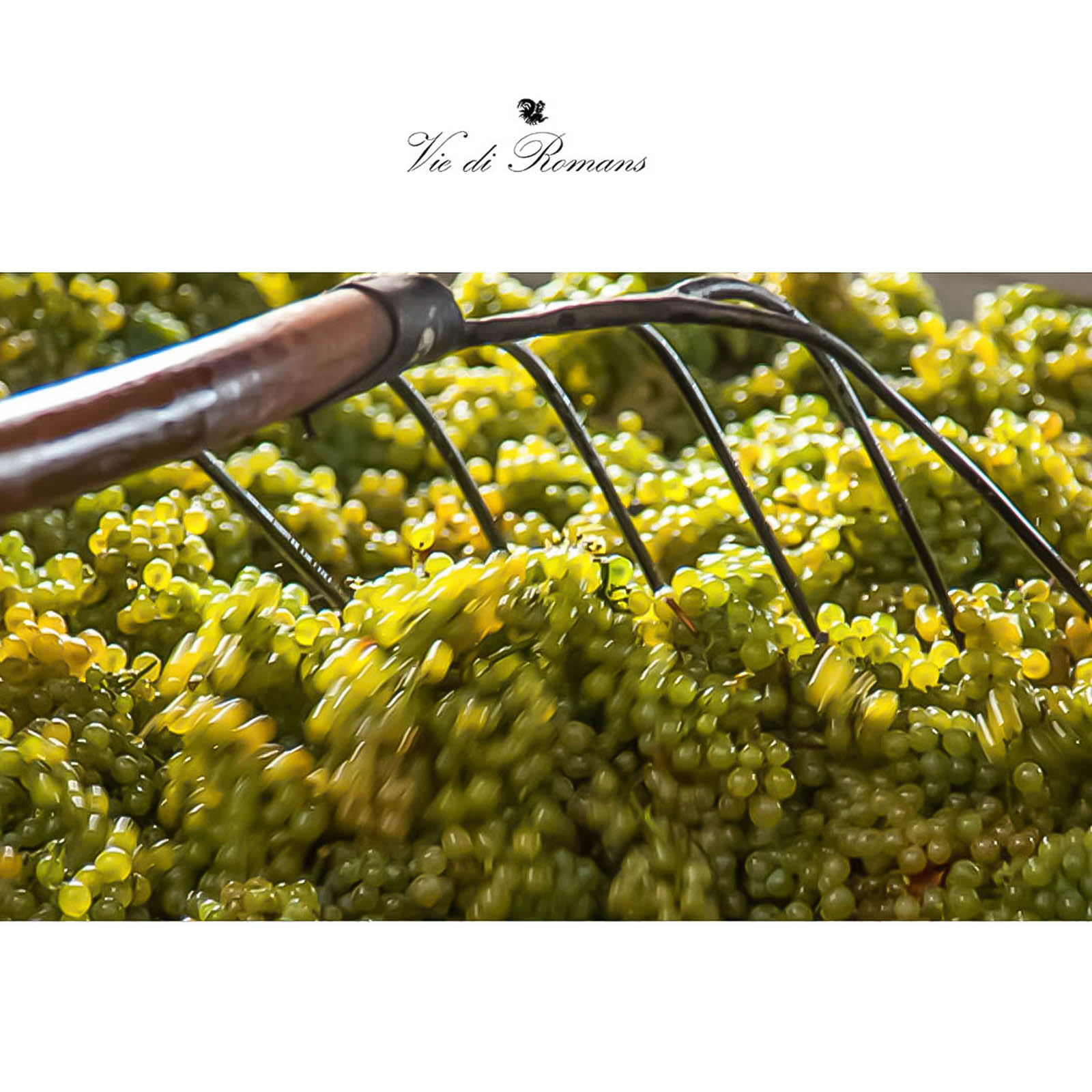 Chardonnay 2023 Vie di Romans