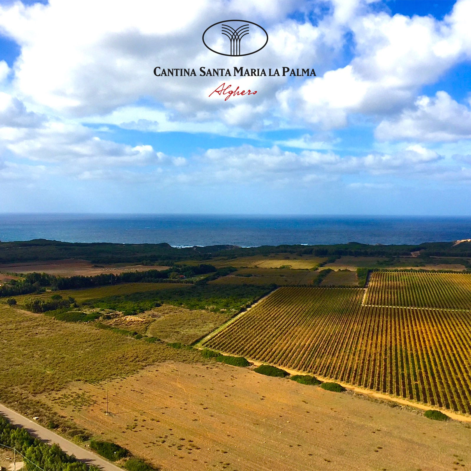 Vermentino di Sardegna 2023 Ràfia