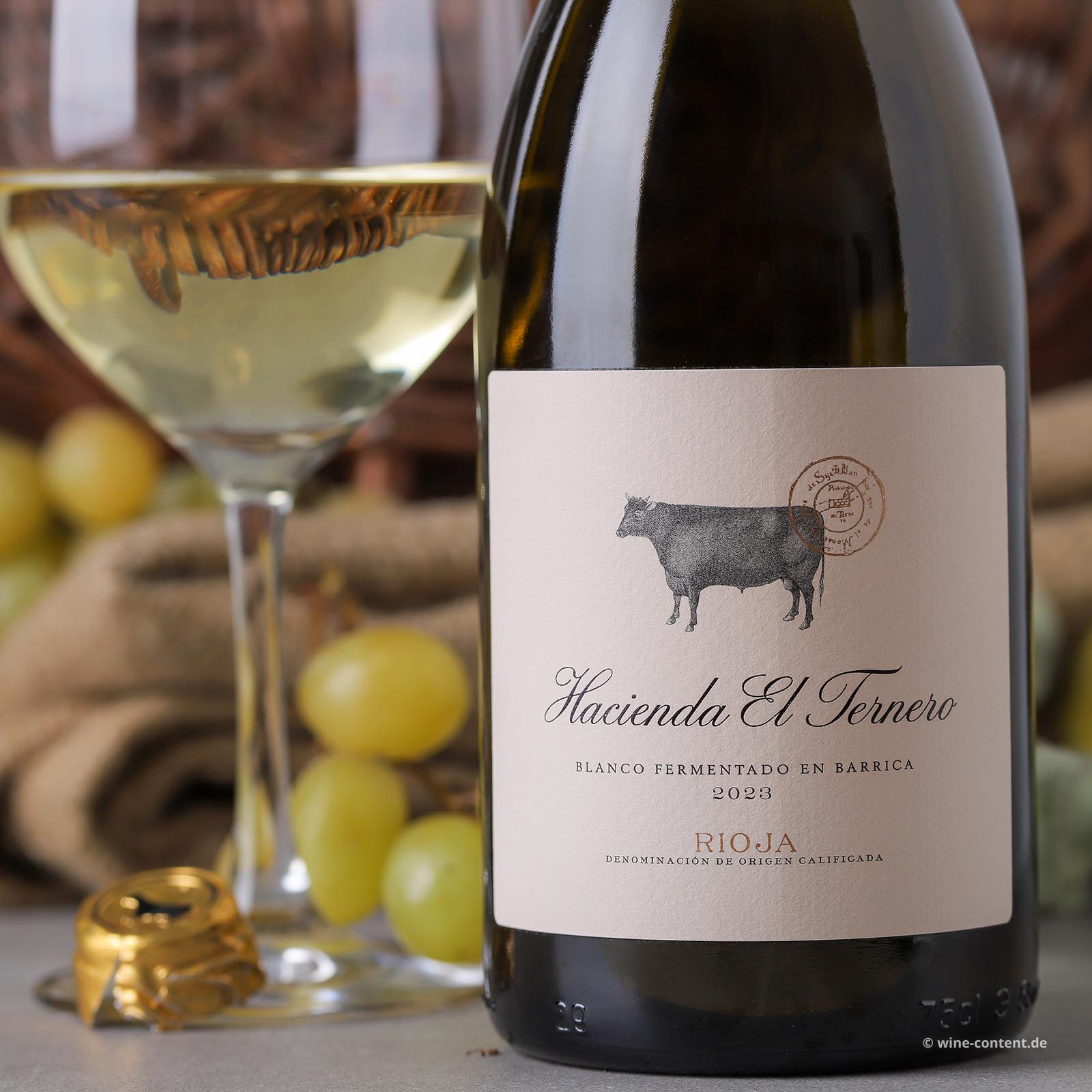 Rioja Blanco 2023 Fermentado en Barrica