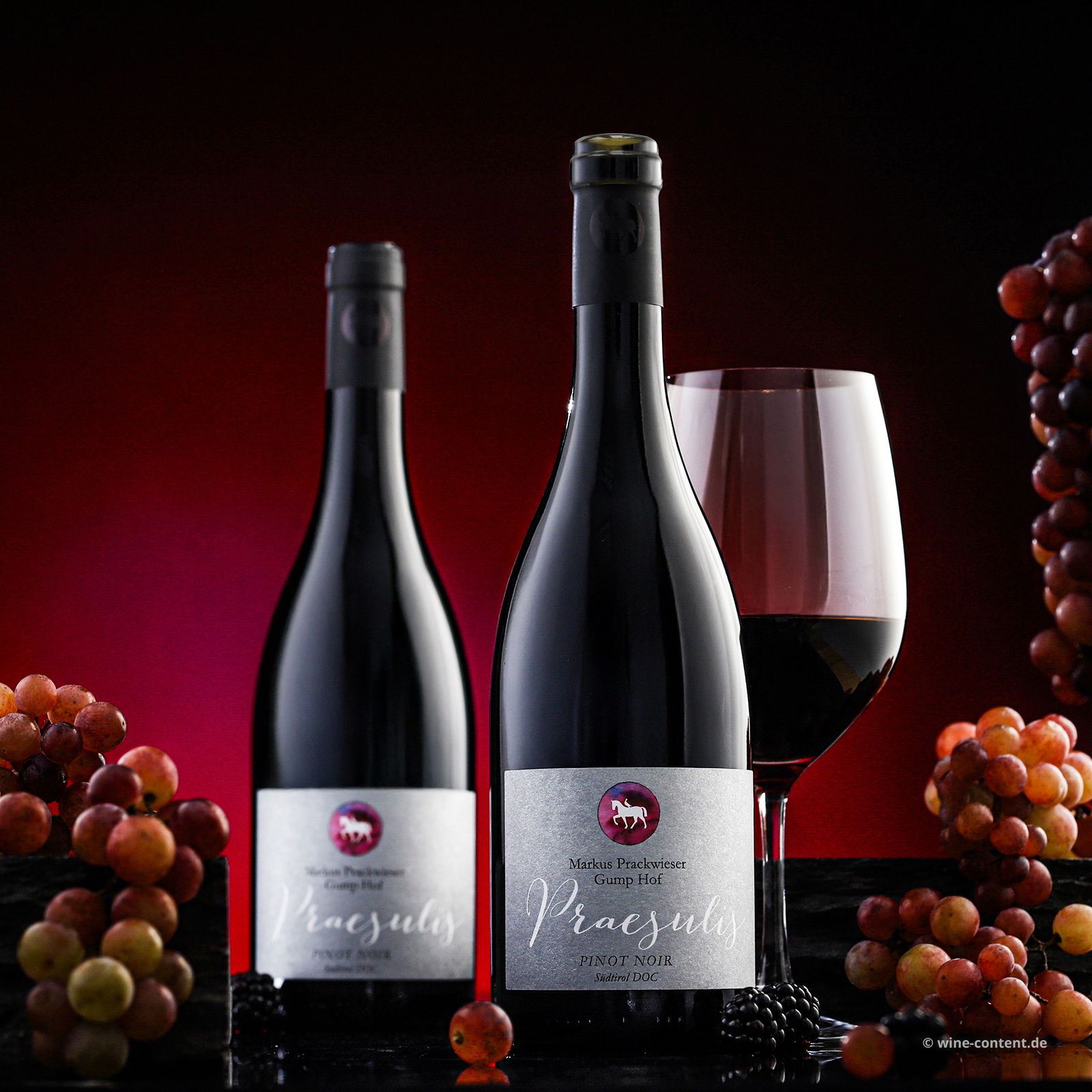 Pinot Noir 2022 Praesulis