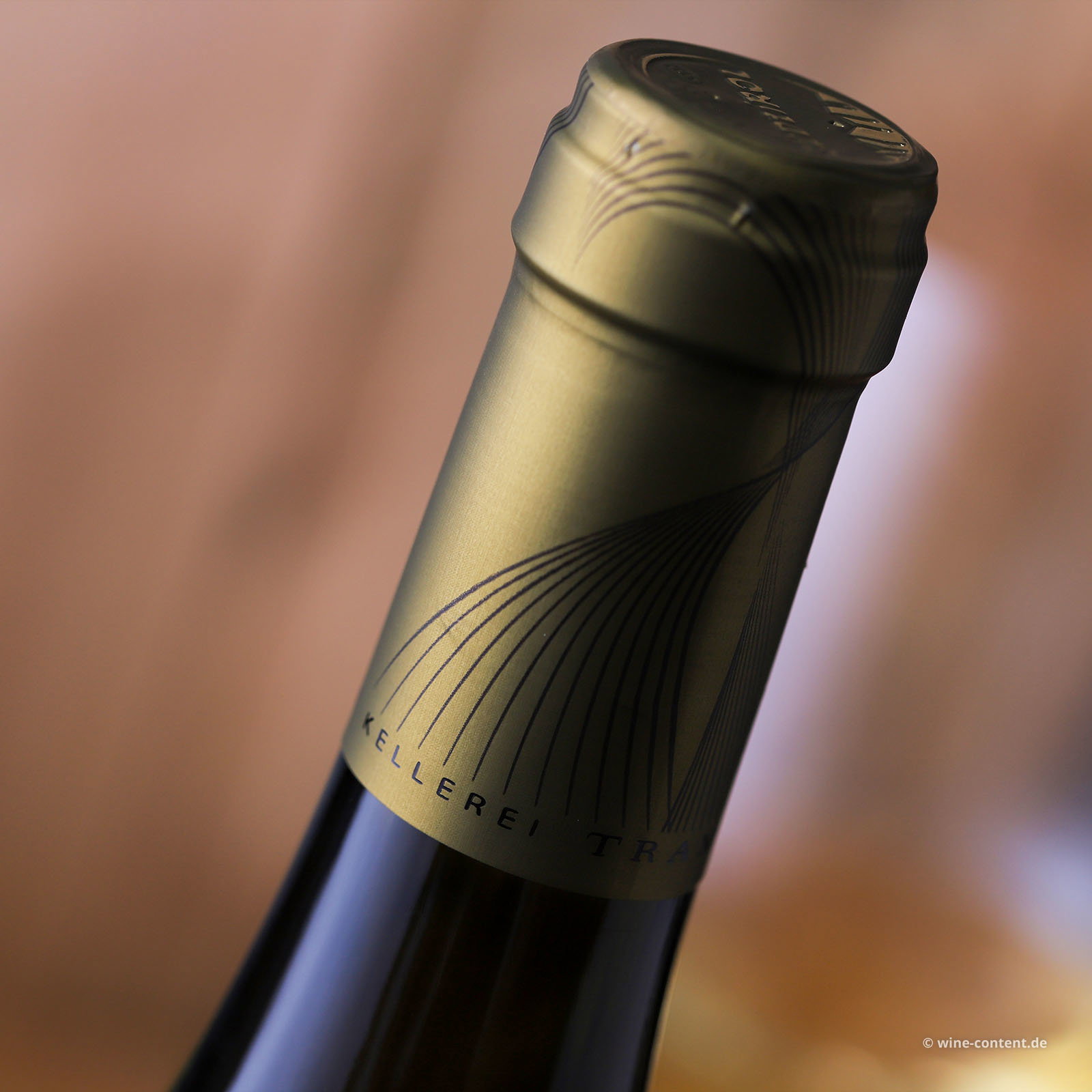 Sauvignon 2025 Classic