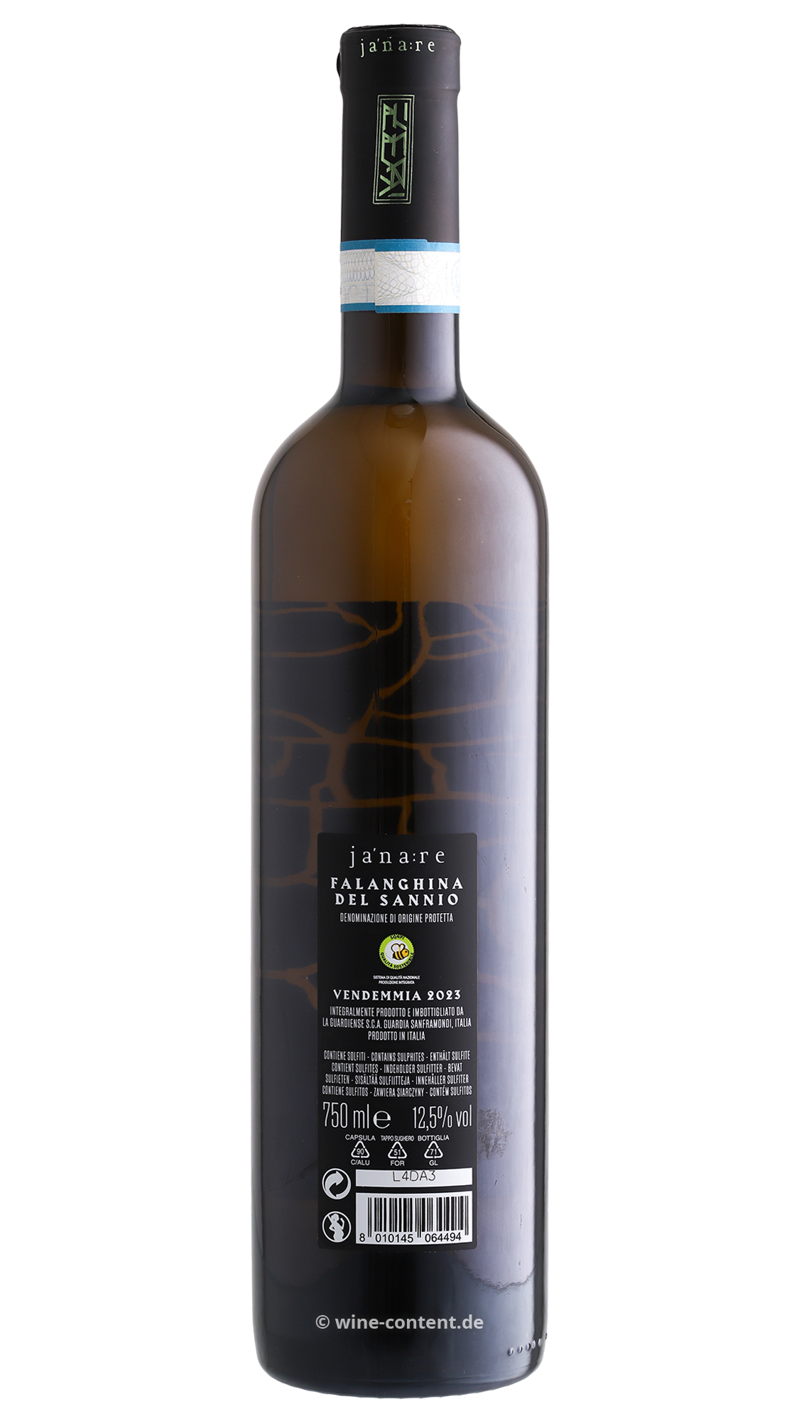 Falanghina del Sannio 2023 Anima Lavica