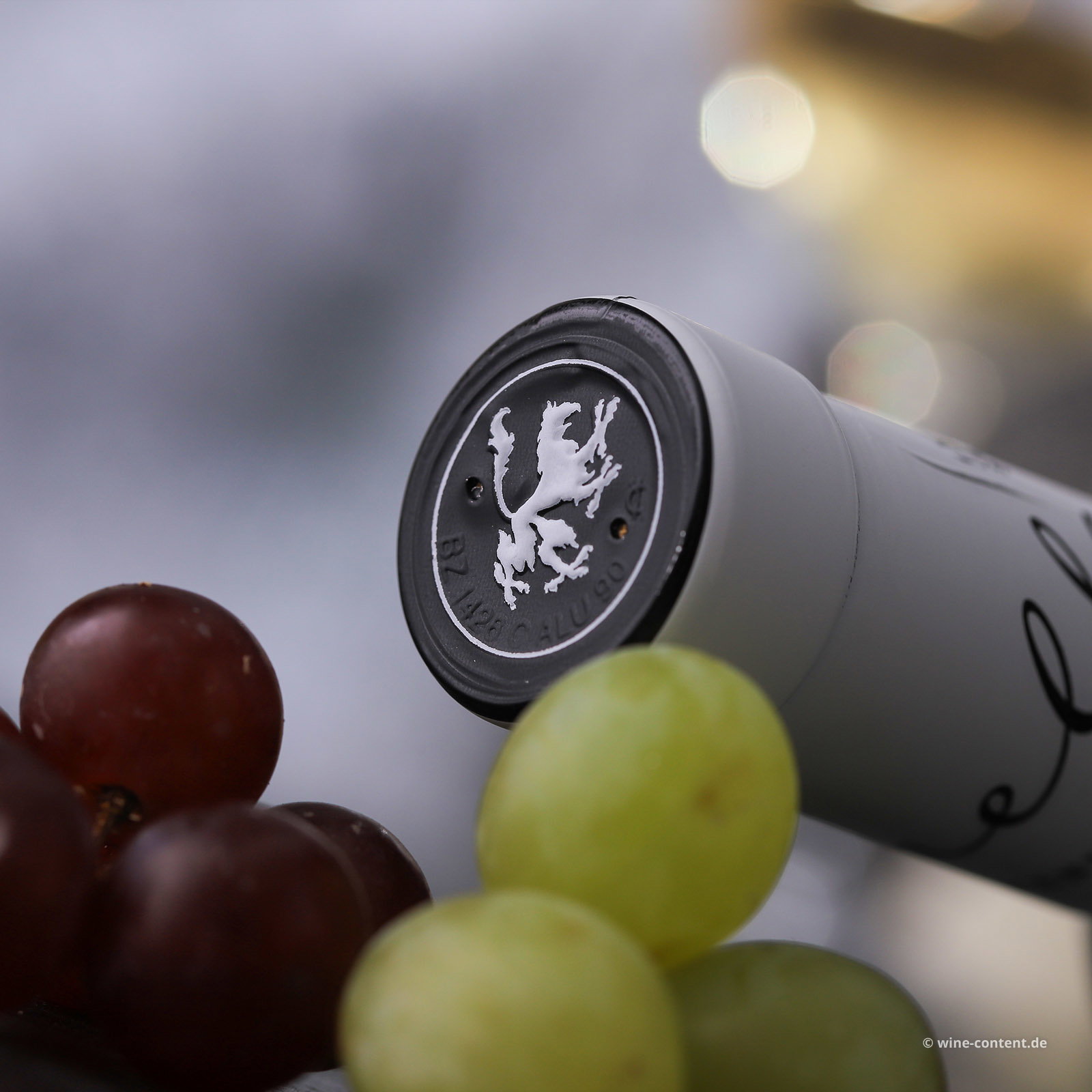 Sauvignon Blanc 2025 Cosmas
