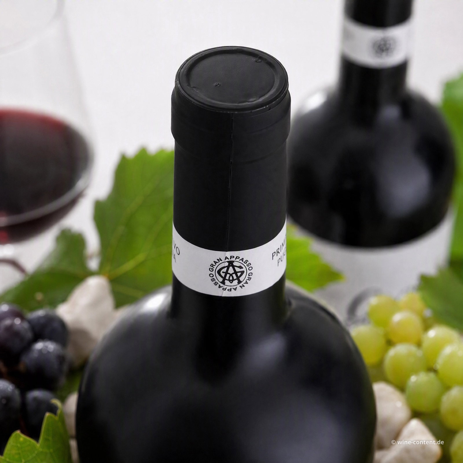 Primitivo 2025 Gran Appasso