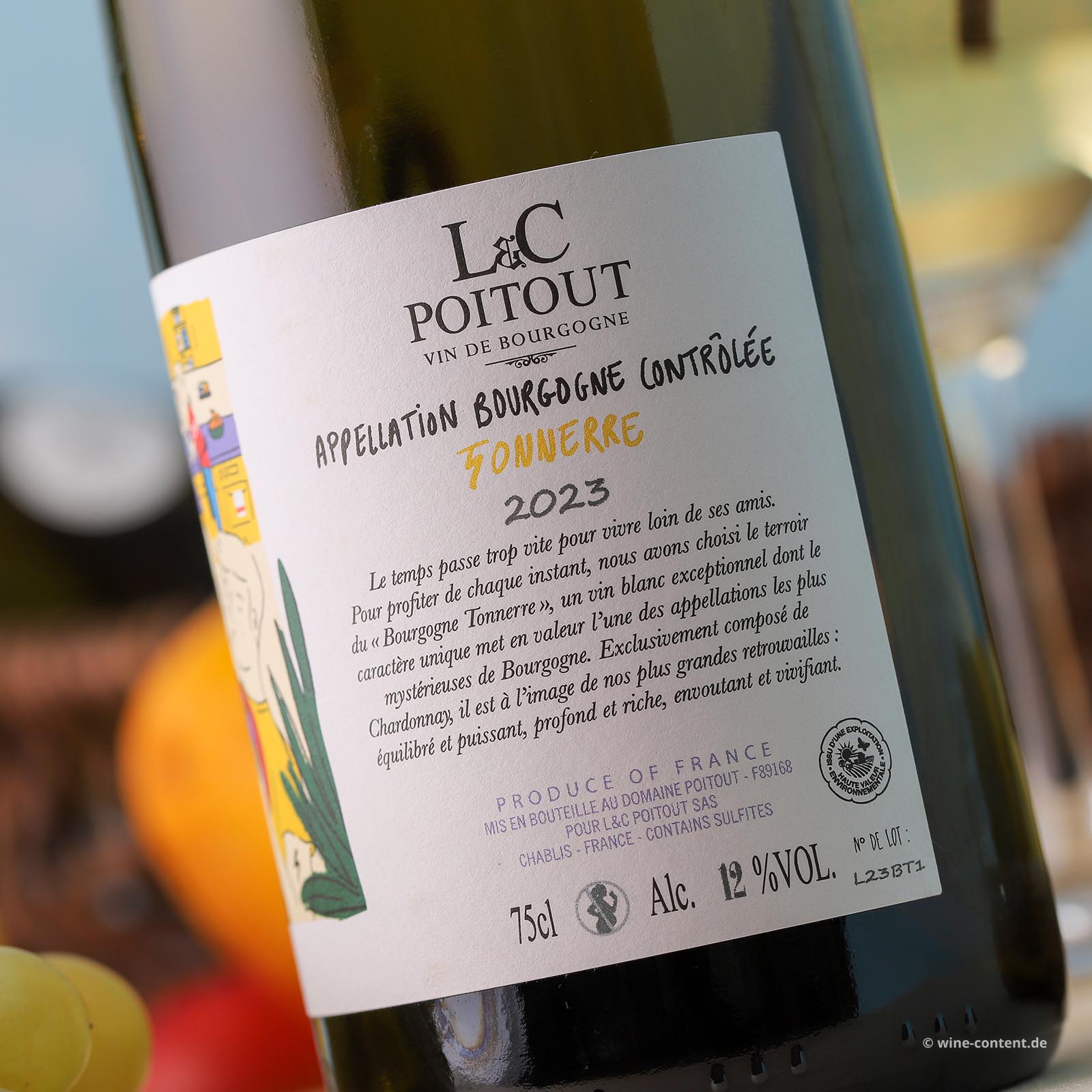 Bourgogne Blanc 2023 Tonnerre