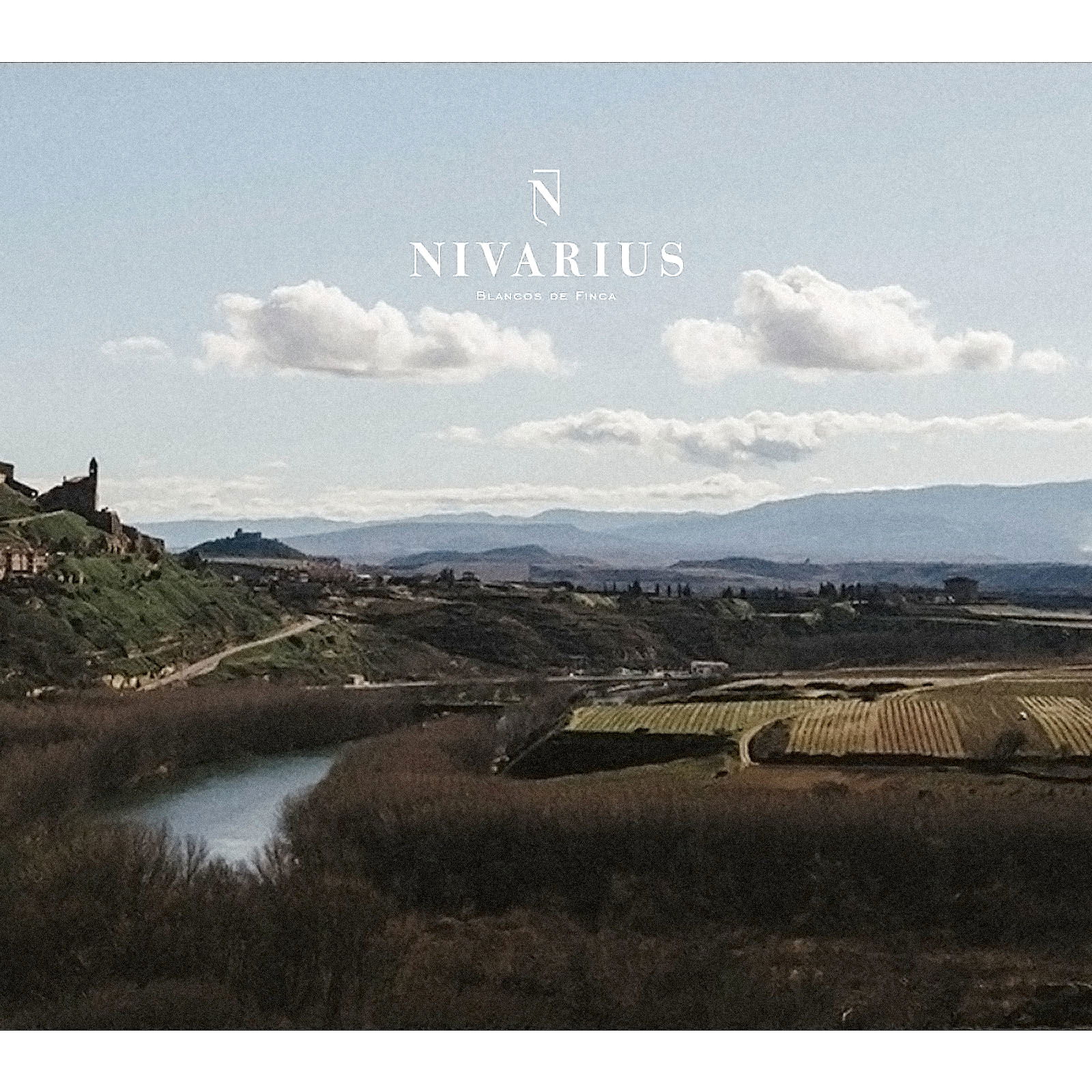 Rioja Blanco 2019 Edicion Limitada