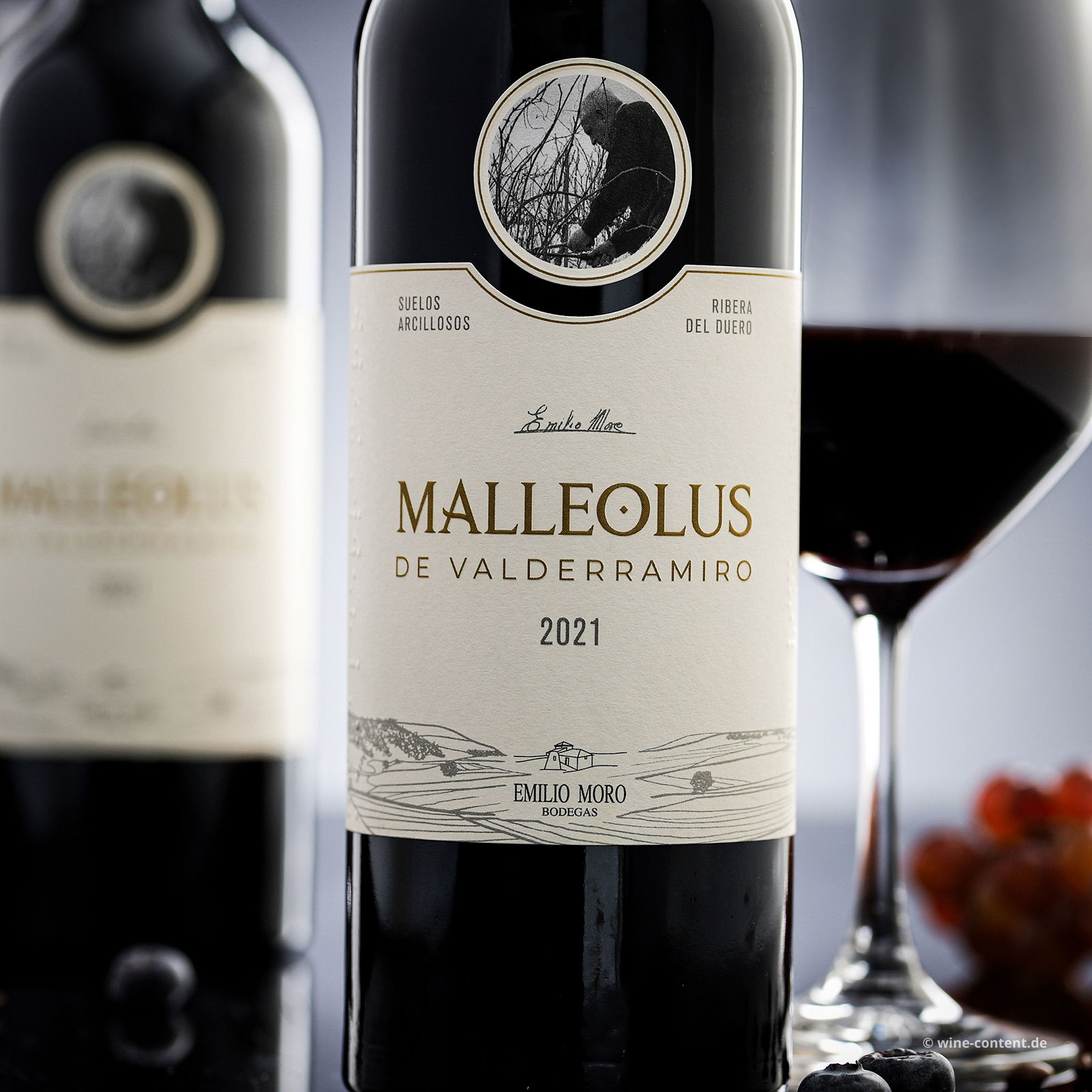 Malleolus de Valderramiro 2021