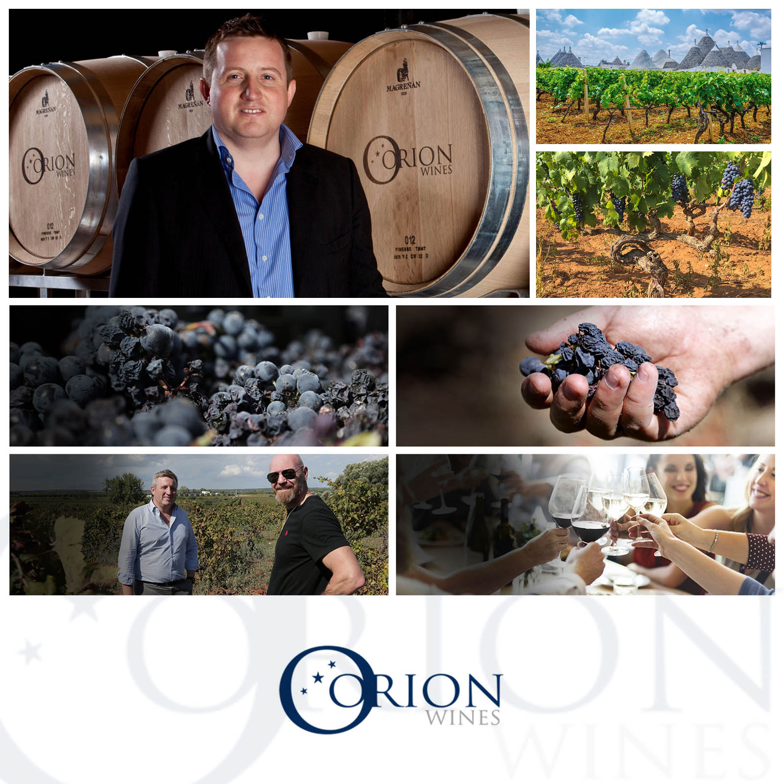 Primitivo 2024 Zensa Bio