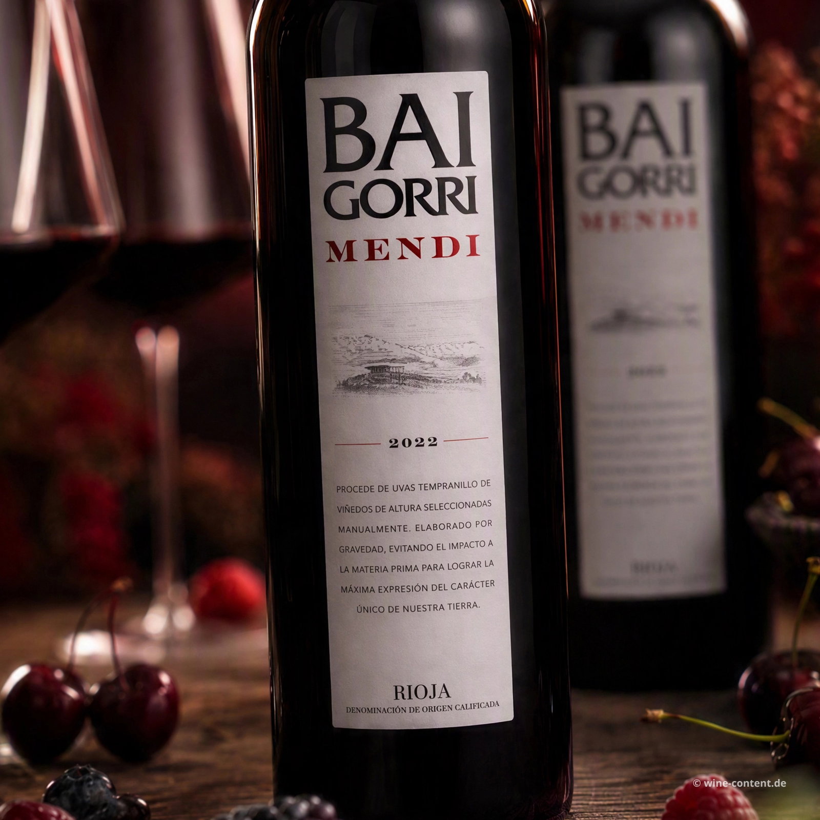 Rioja Crianza 2022 Mendi