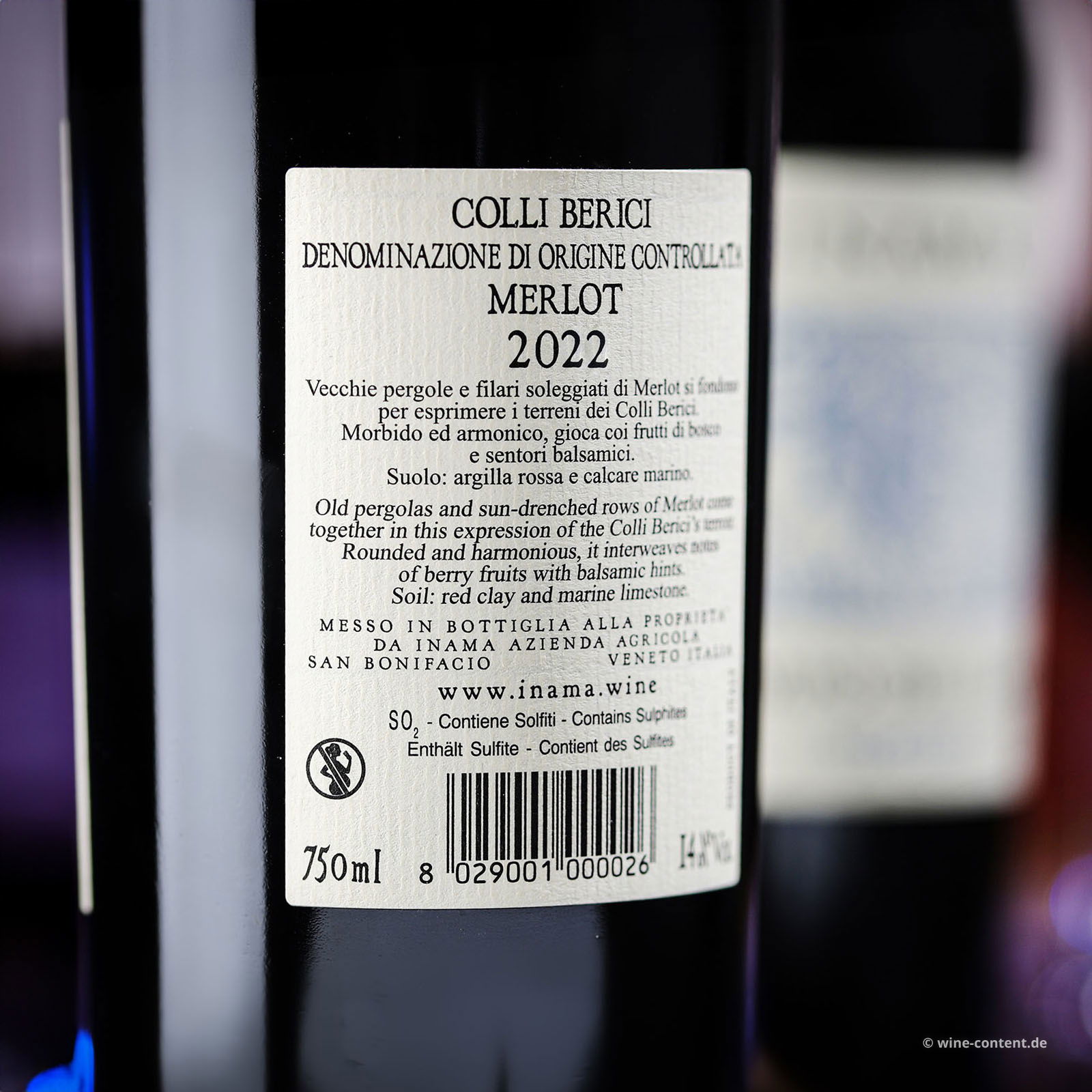Merlot 2022 Campo del Lago