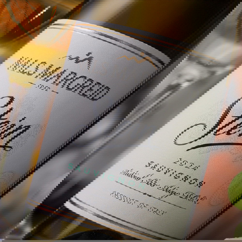 Sauvignon Blanc 2024 Stein