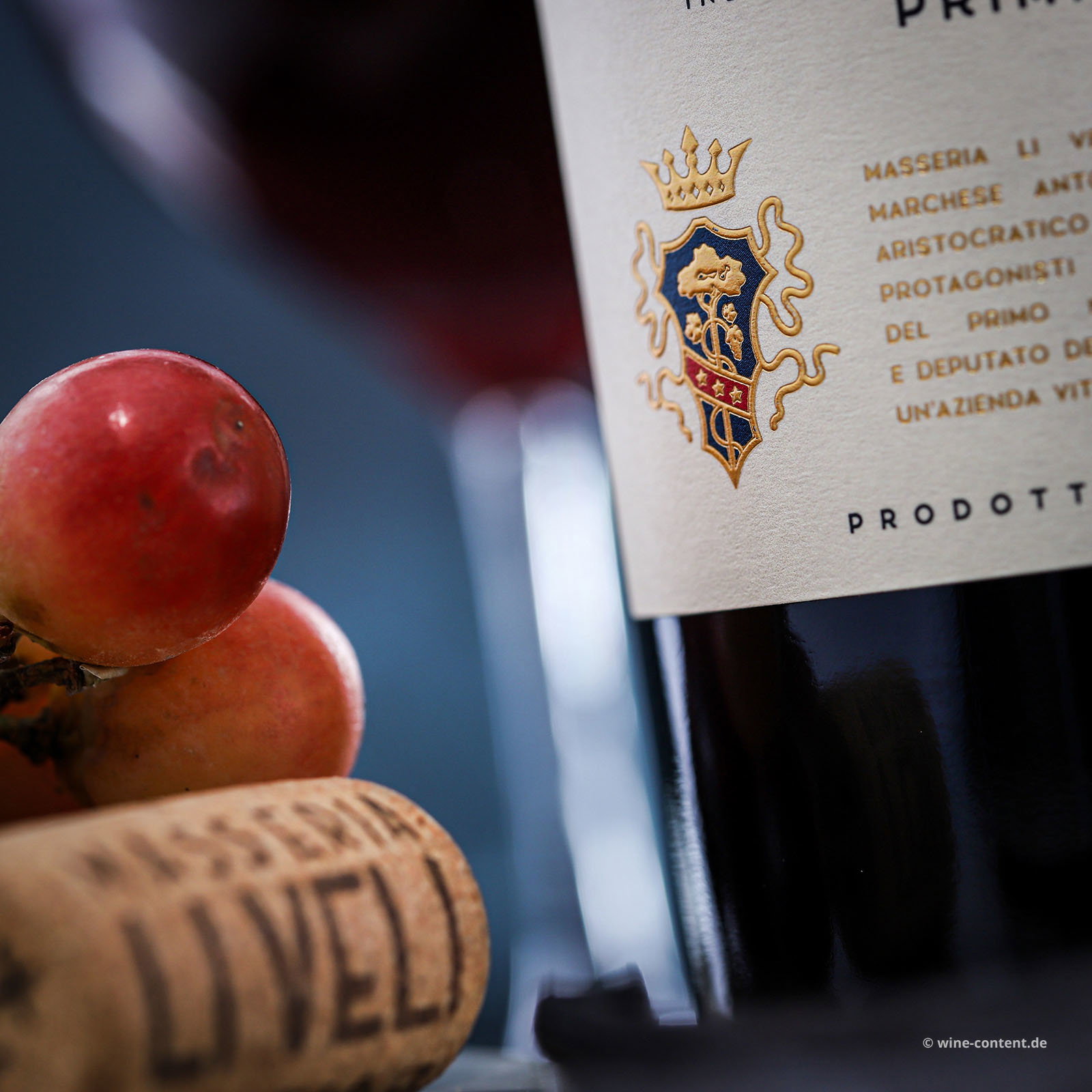 Primitivo Salento 2025 Orion