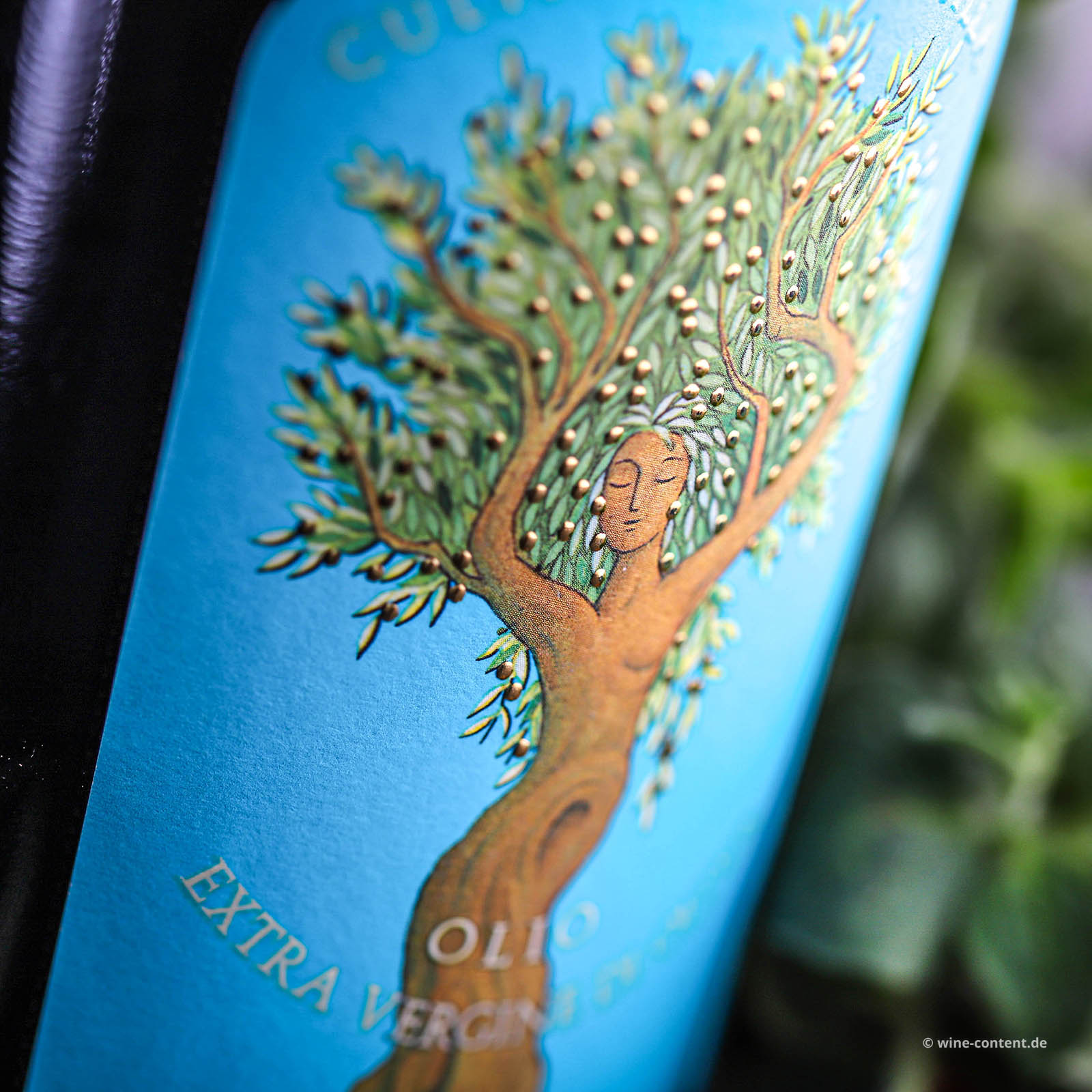 0,5 L Olivenöl Extra Vergine 2025 Biancolilla